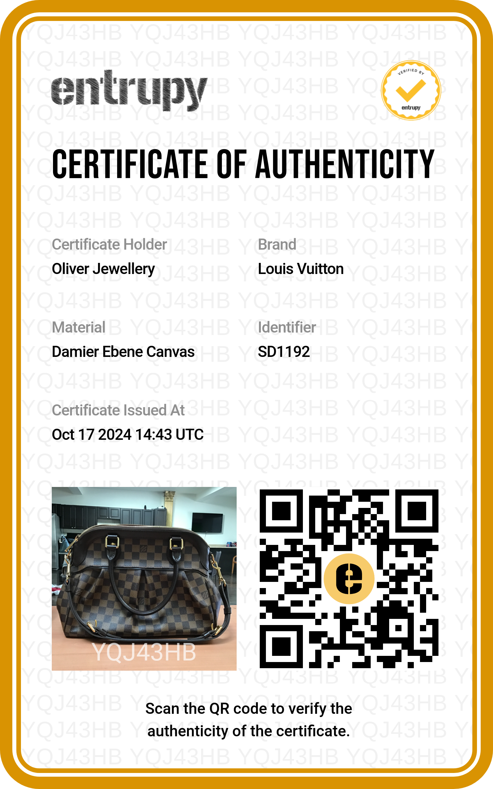 Louis Vuitton Damier Ebene Trevi PM w/ Strap