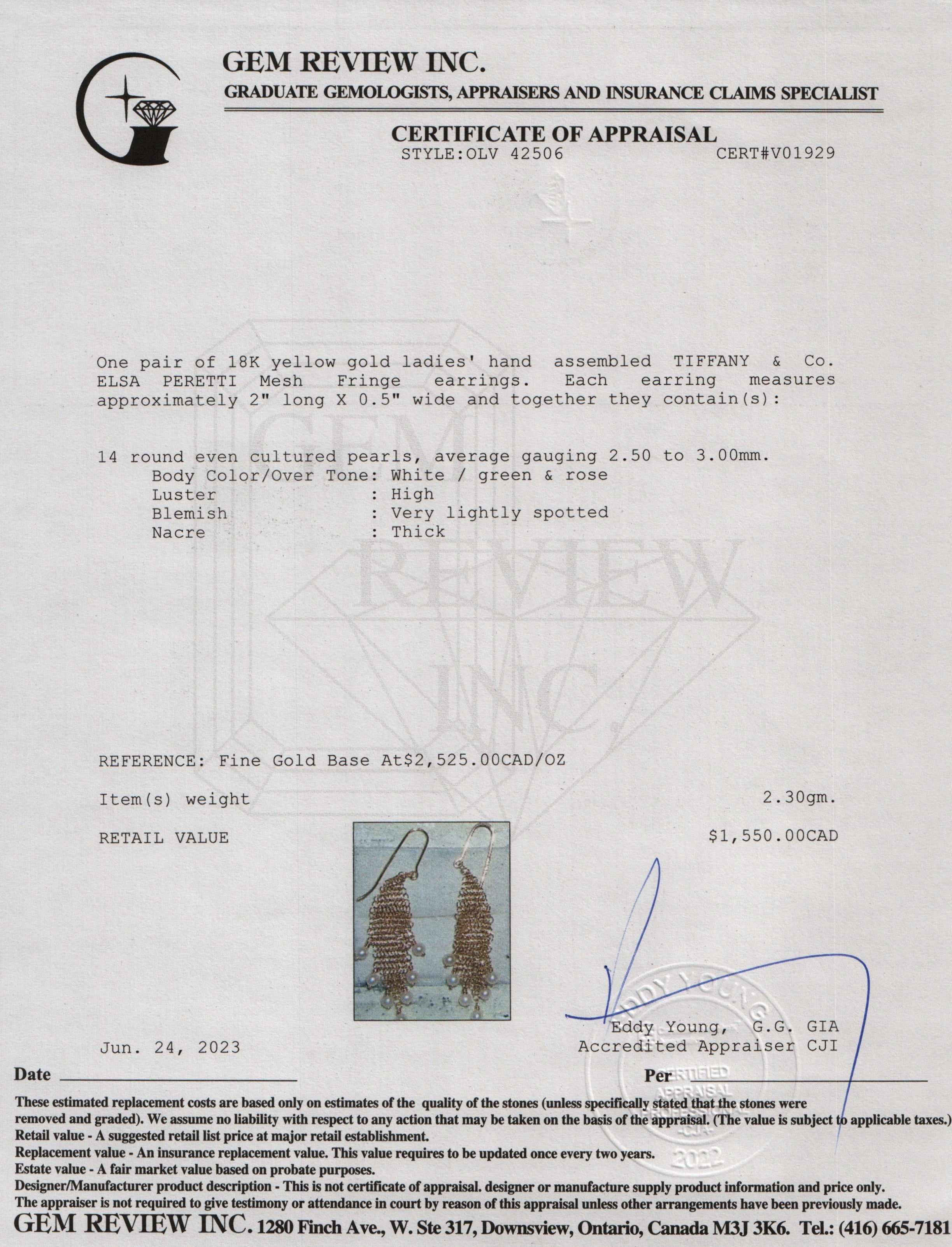 Tiffany & Co. Elsa Peretti 18k Yellow Gold Mesh Fringe Earrings