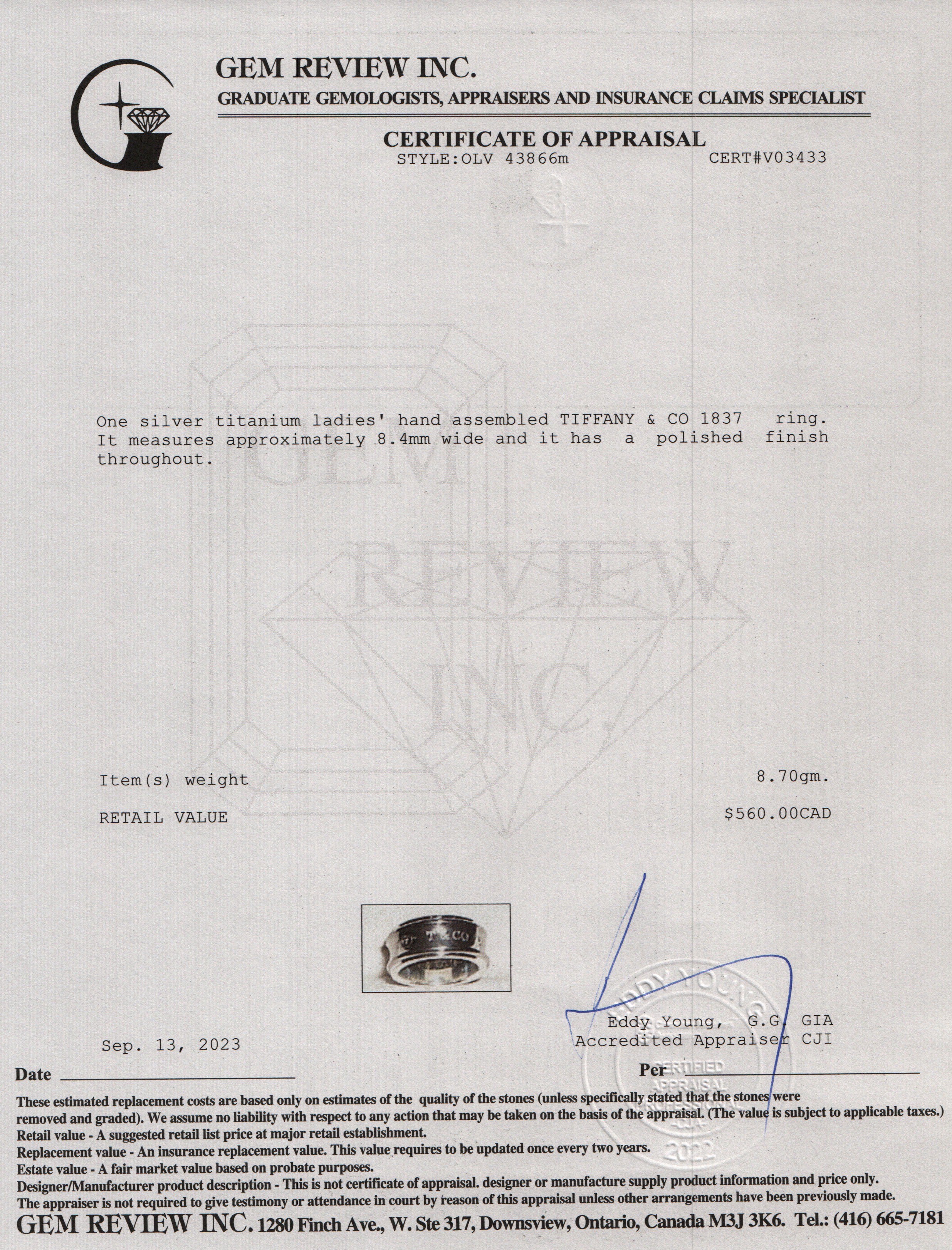 Tiffany & Co. Sterling Silver & Titanium 1837 Band Ring, Size 9