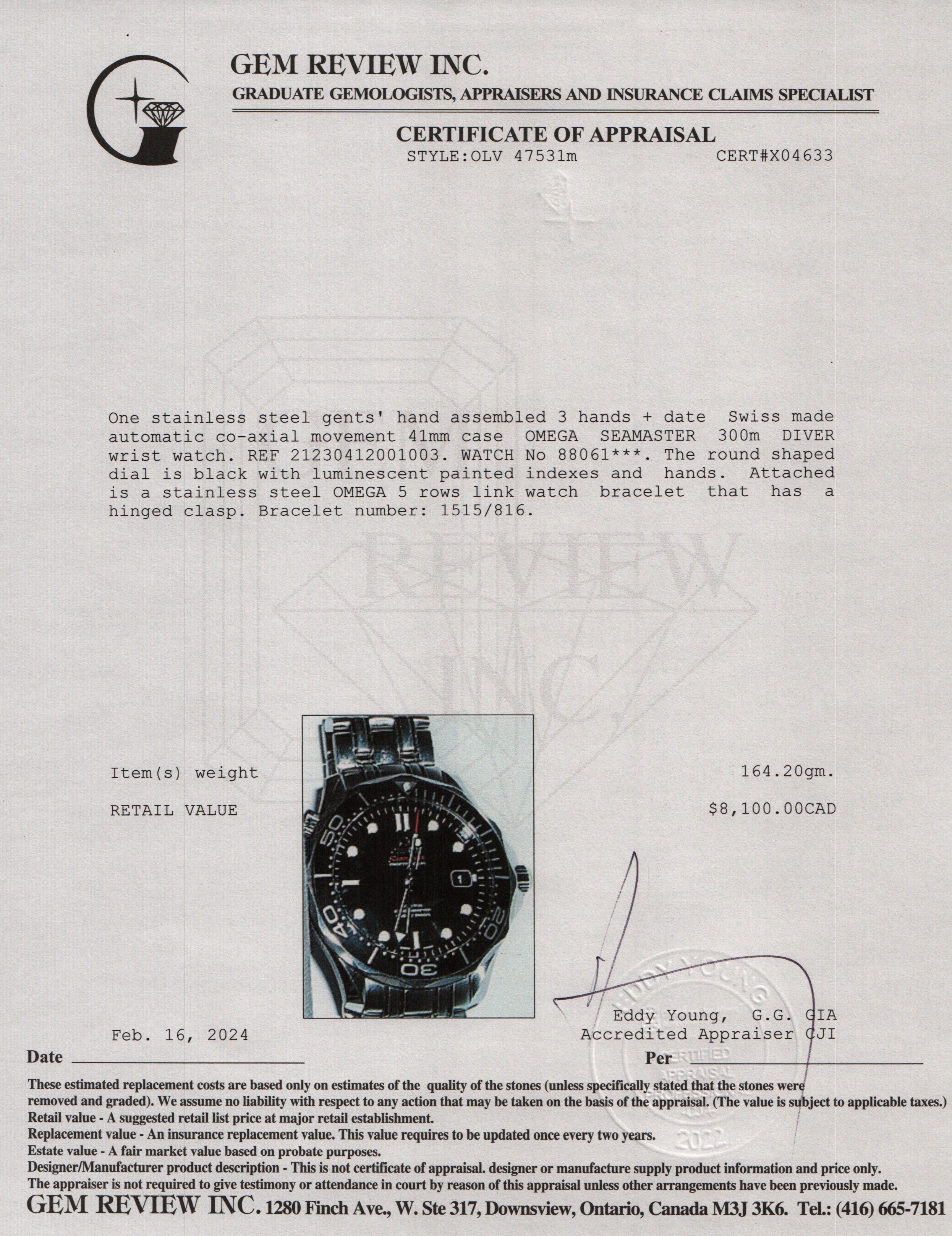 Omega Stainless Steel Seamaster Diver 300M Co-Axial Chronometer 41 MM Watch w/ Box & Papers