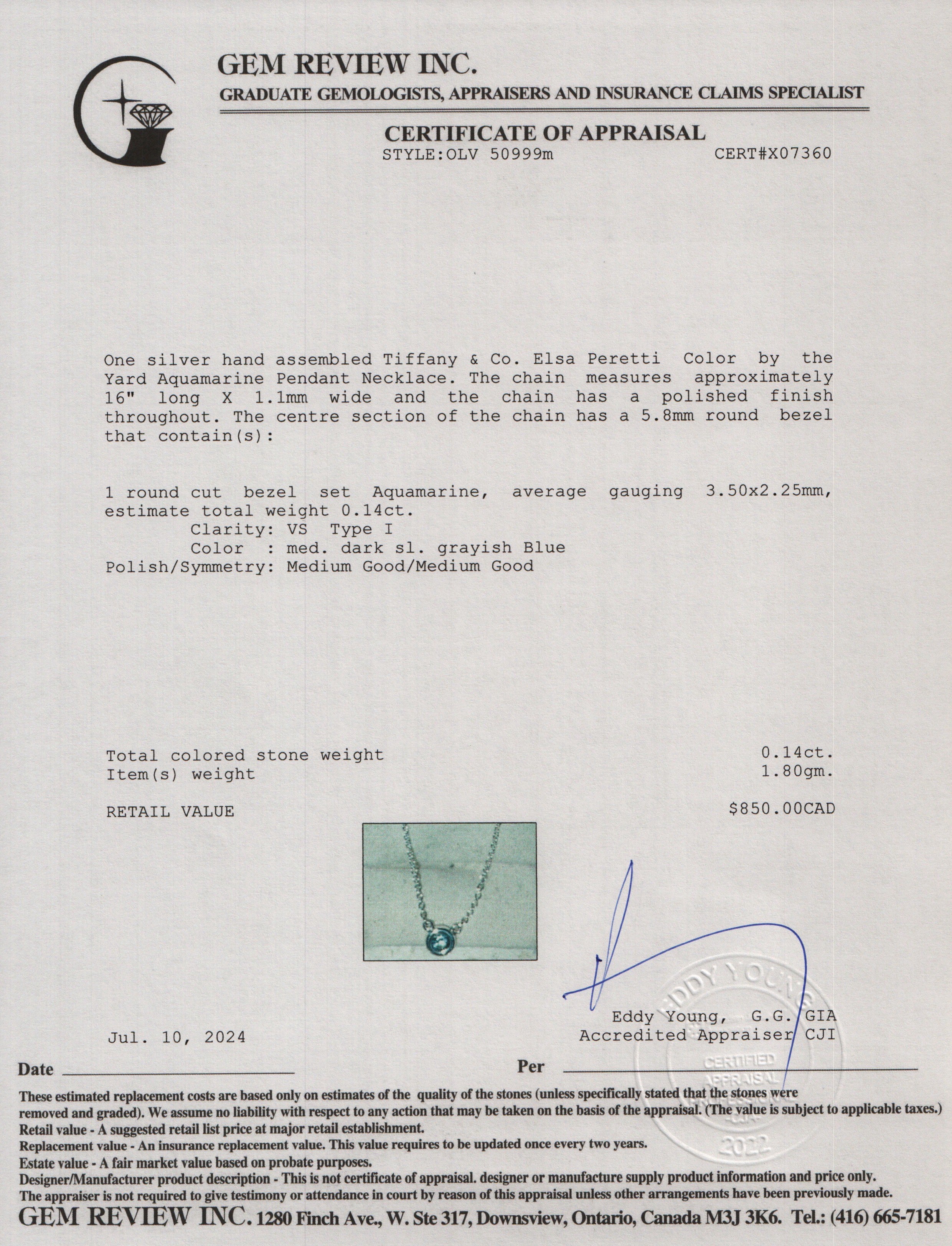 Tiffany & Co. Elsa Peretti Color by the Yard Aquamarine Pendant Necklace