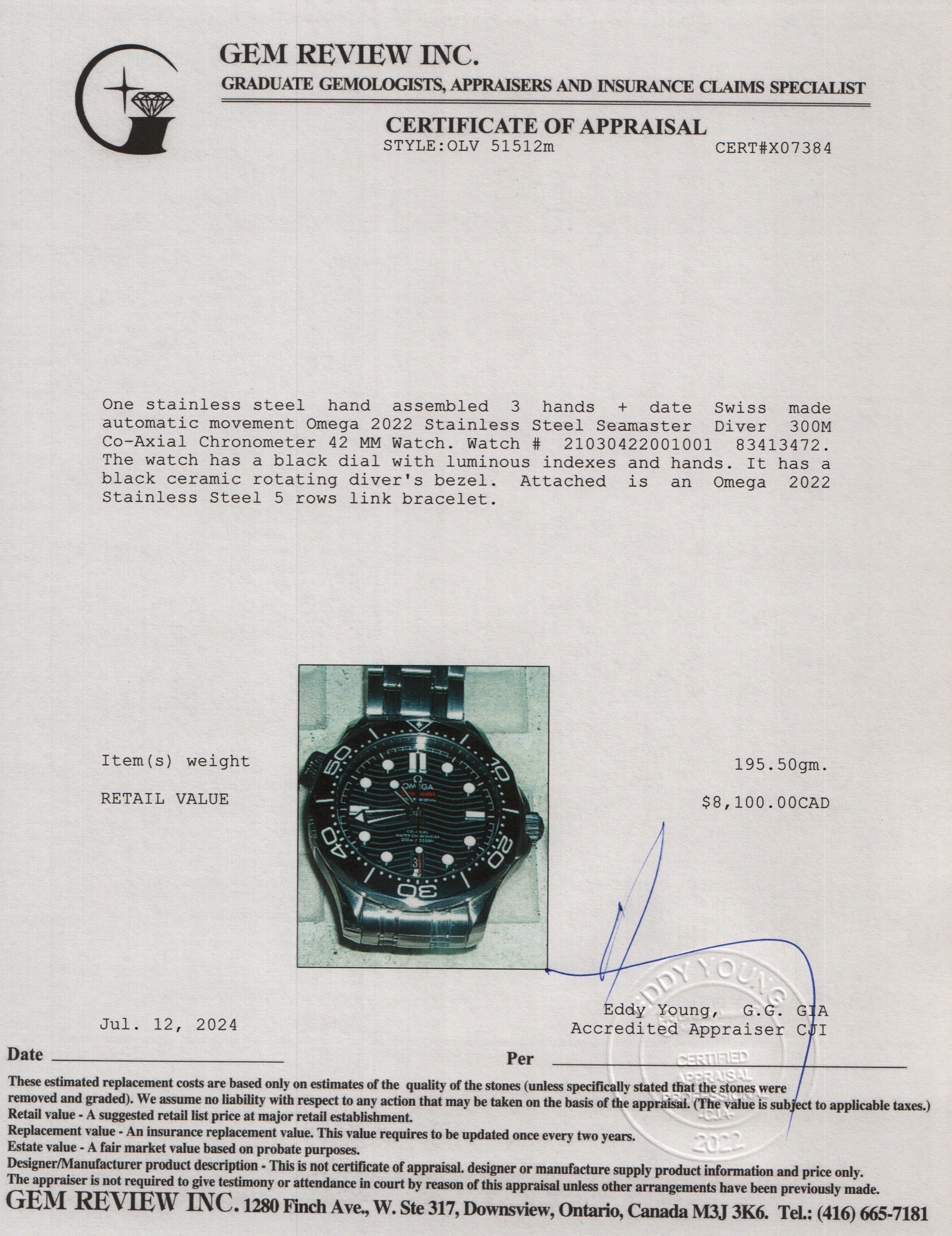 Omega 2022 Stainless Steel Seamaster Diver 300M Co-Axial Chronometer 42 MM Watch w/ Box & Papers