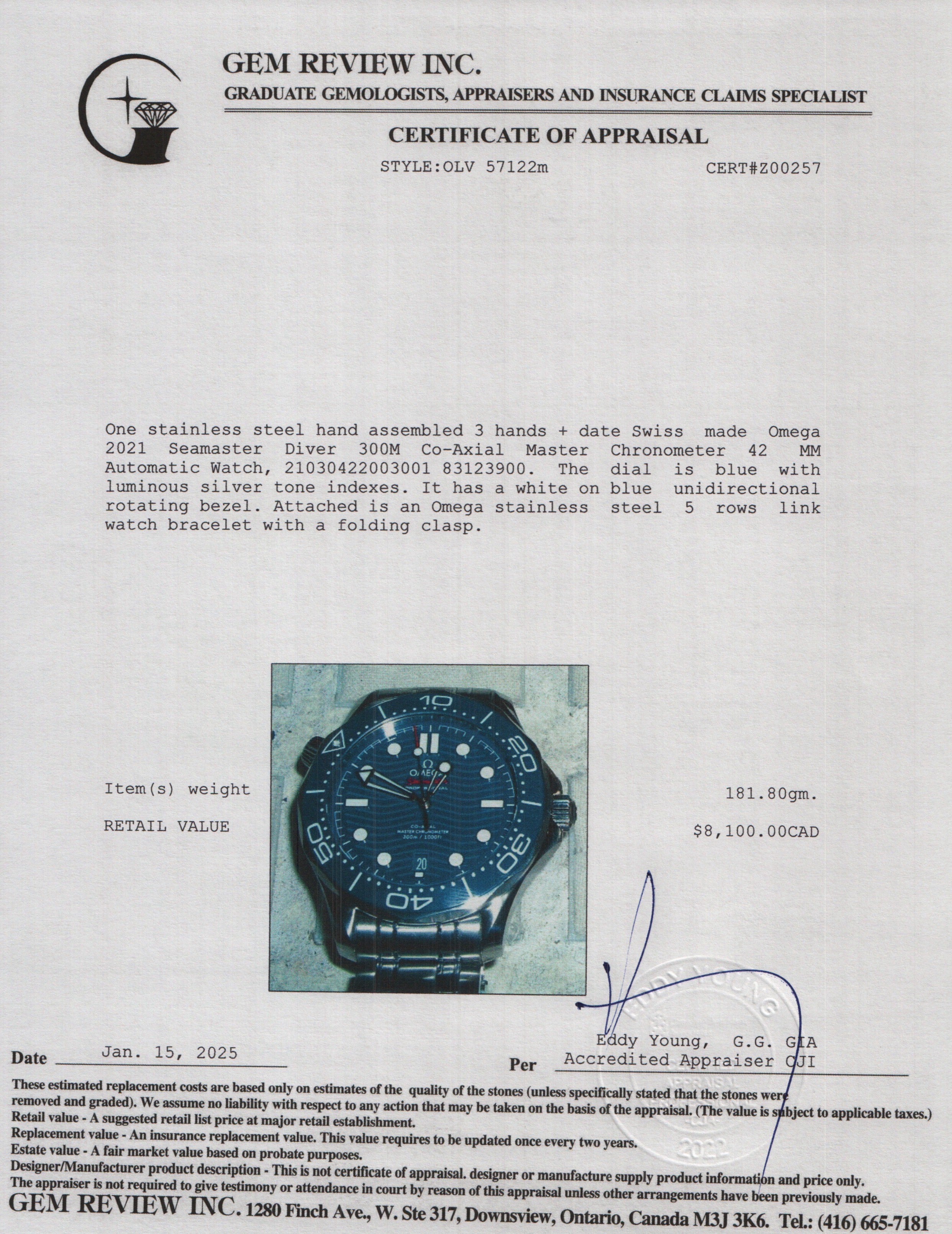 Omega 2021 Stainless Steel Seamaster Diver 300M Co-Axial Master Chronometer 42 MM Automatic Watch w/ Box, Papers & Extra Strap