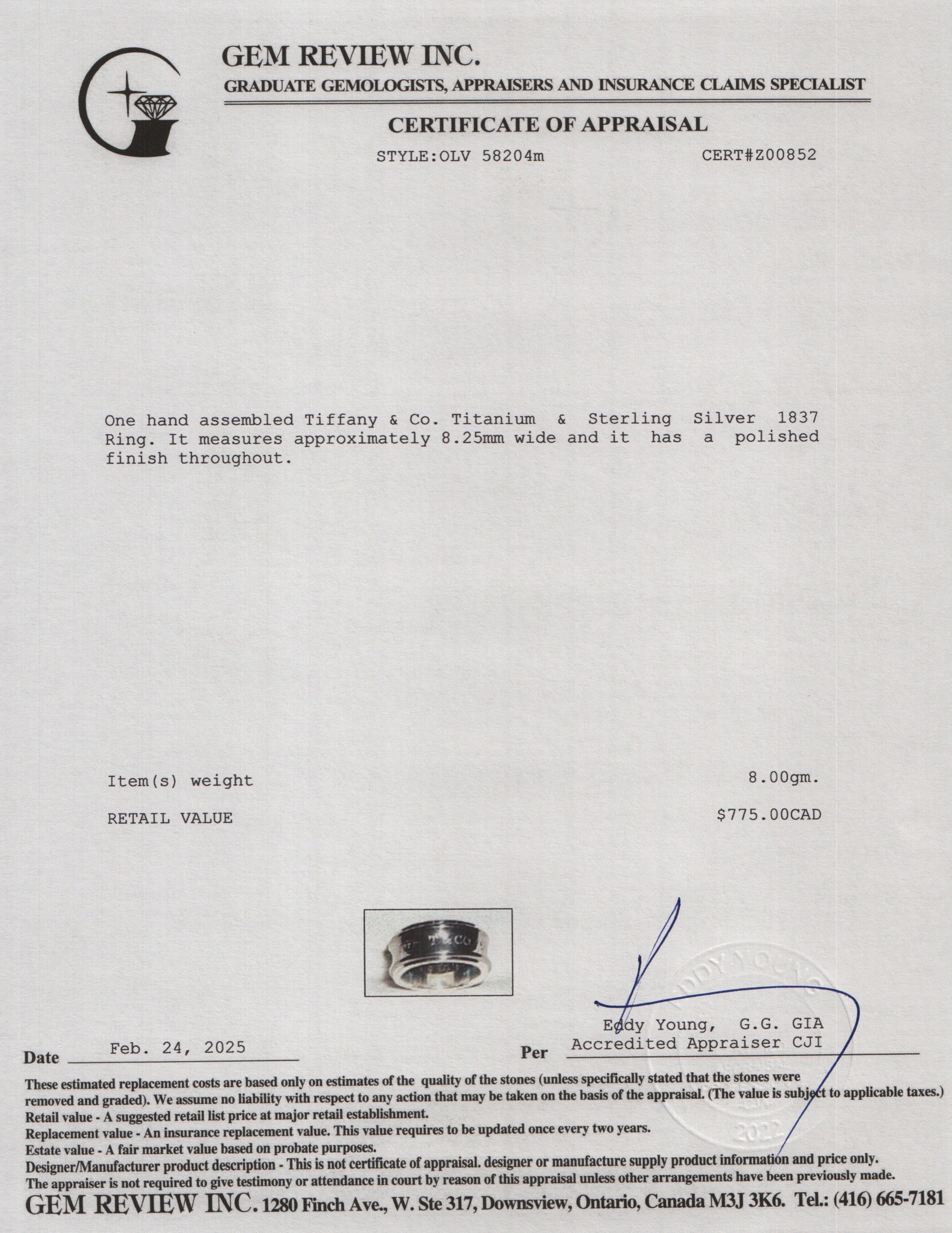 Tiffany & Co. Titanium & Sterling Silver 1837 Ring, Size 8.5