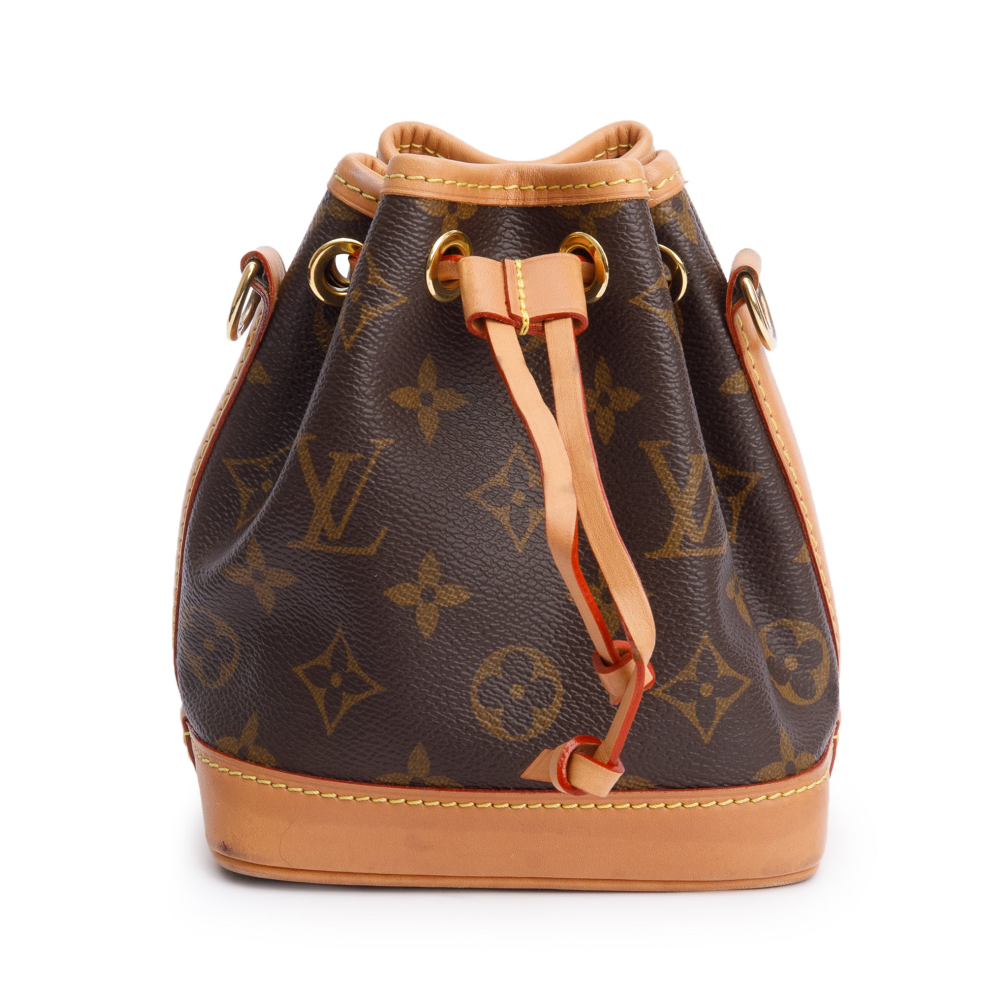 Louis Vuitton Monogram Nano Noe w/ Straps