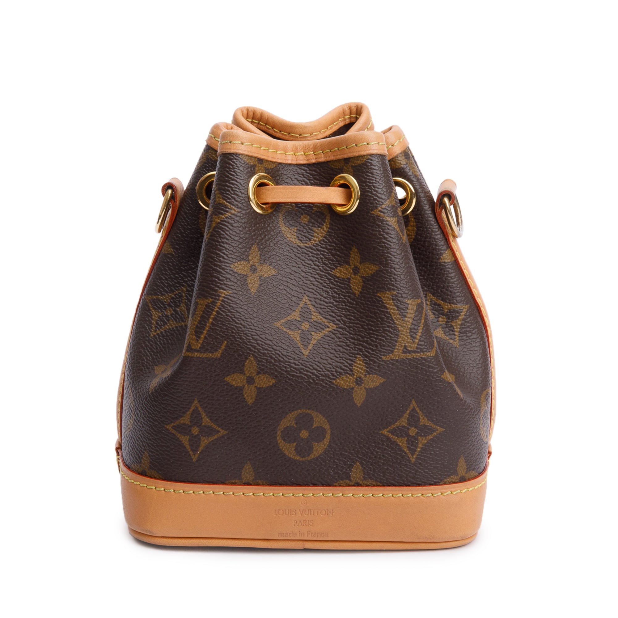 Louis Vuitton Monogram Nano Noe w/ Straps