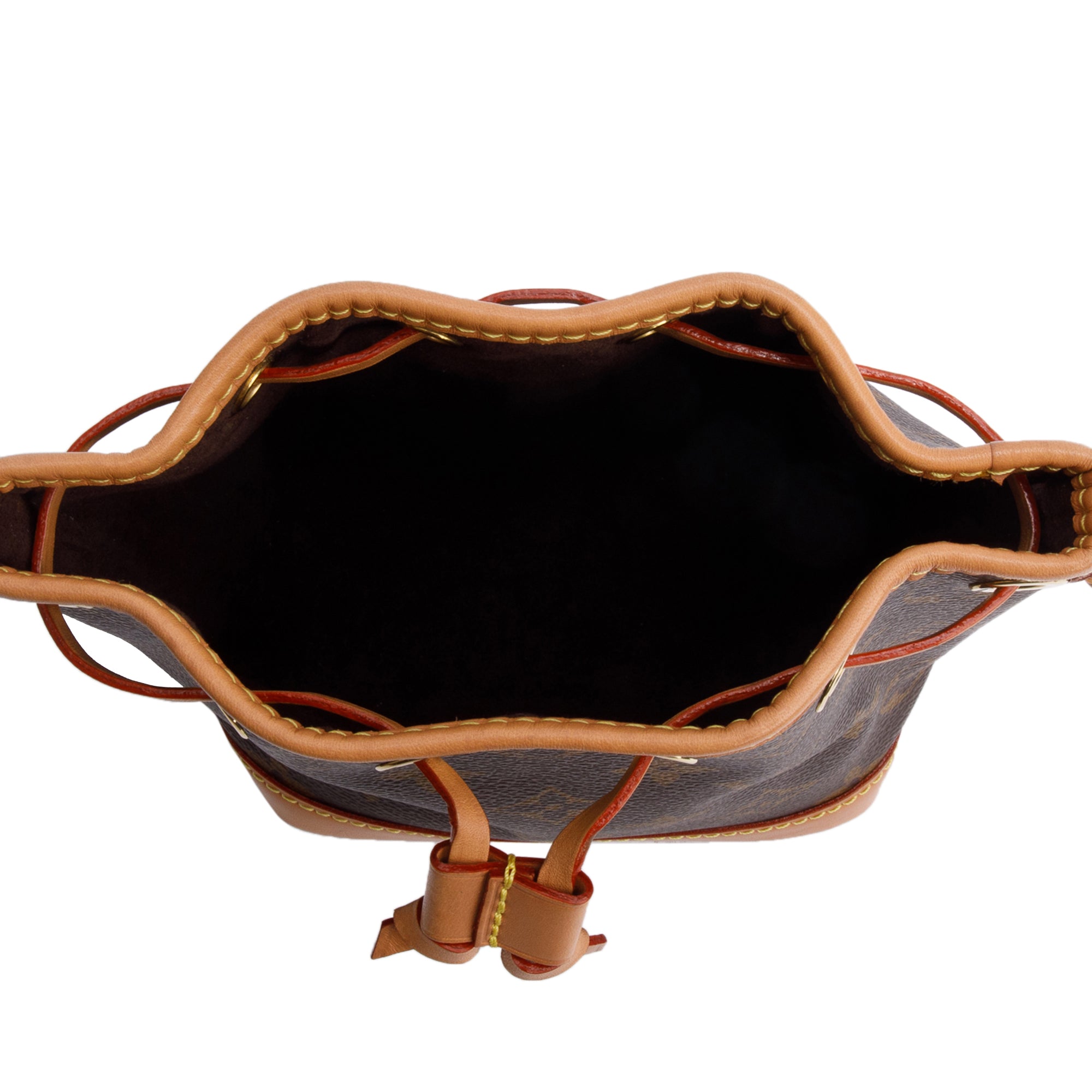 Louis Vuitton Monogram Nano Noe w/ Straps