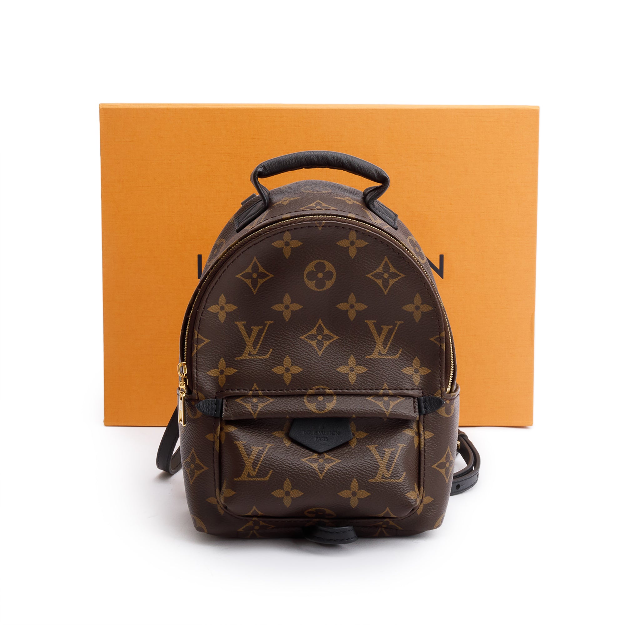 Louis Vuitton 2022 Monogram Palm Springs Mini Backpack w/ Box & Receipt