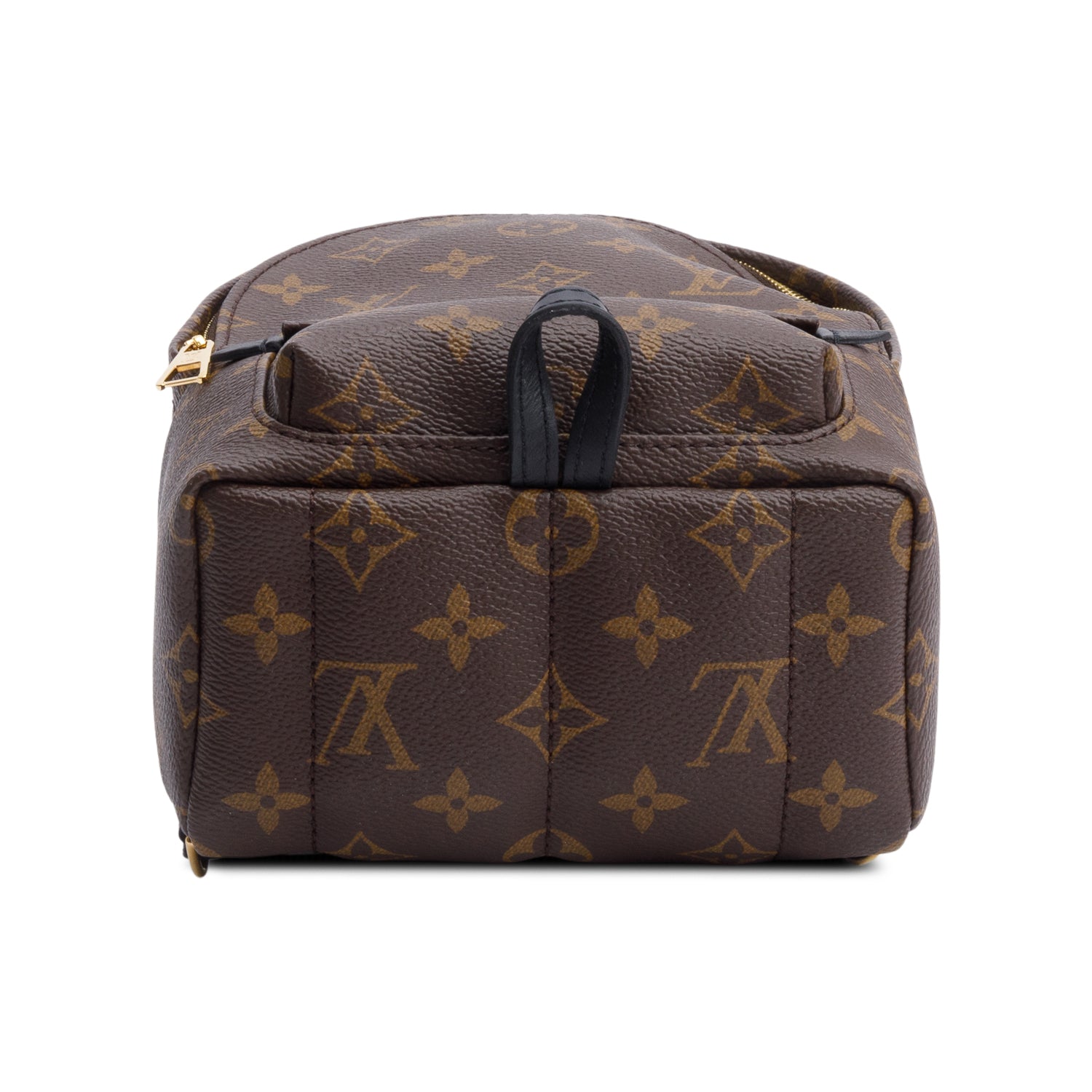 Louis Vuitton Monogram Palm Springs Mini Backpack w/ Receipt