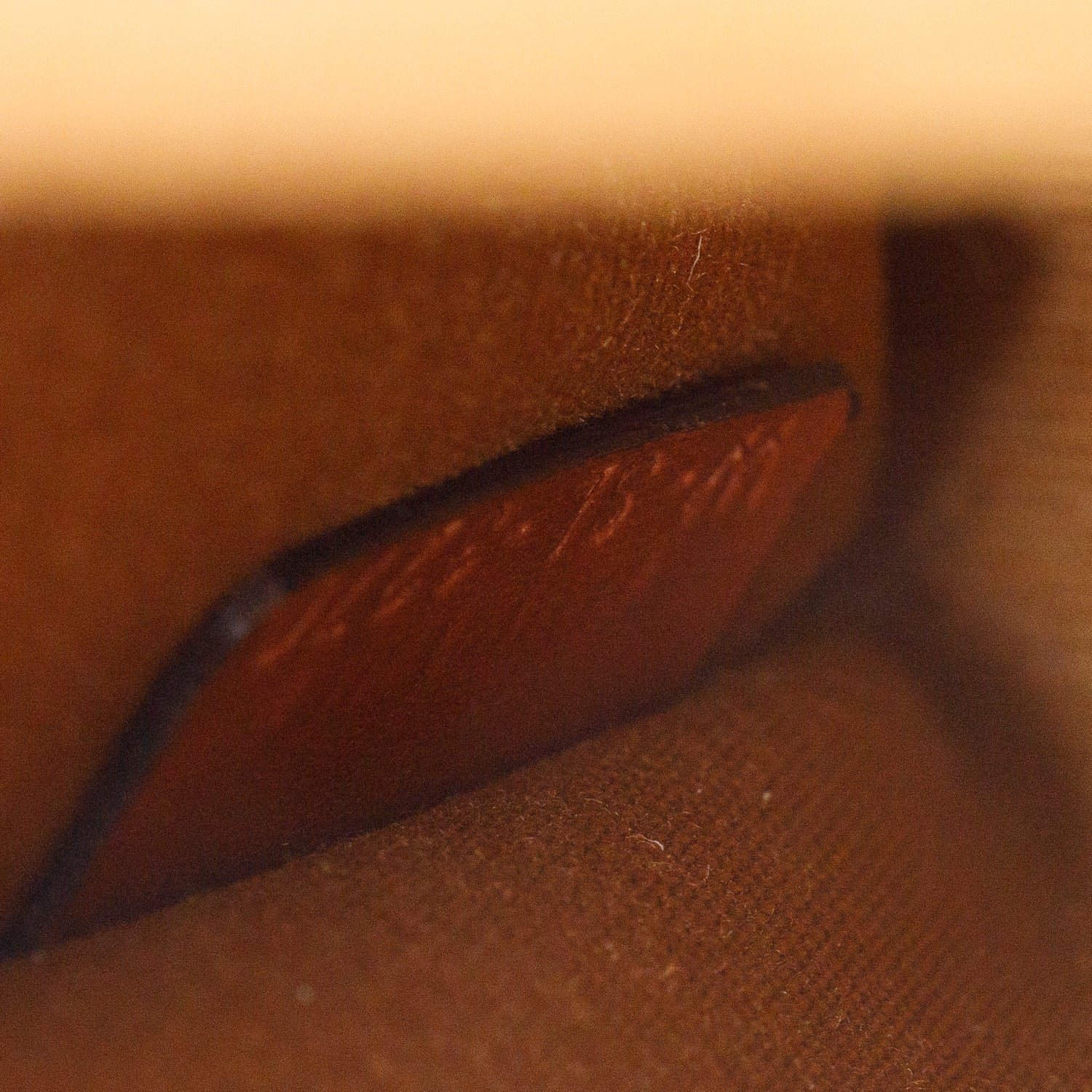 Celine 2020 Triomphe Canvas Mini Vertical Cabas Tote w/ Strap