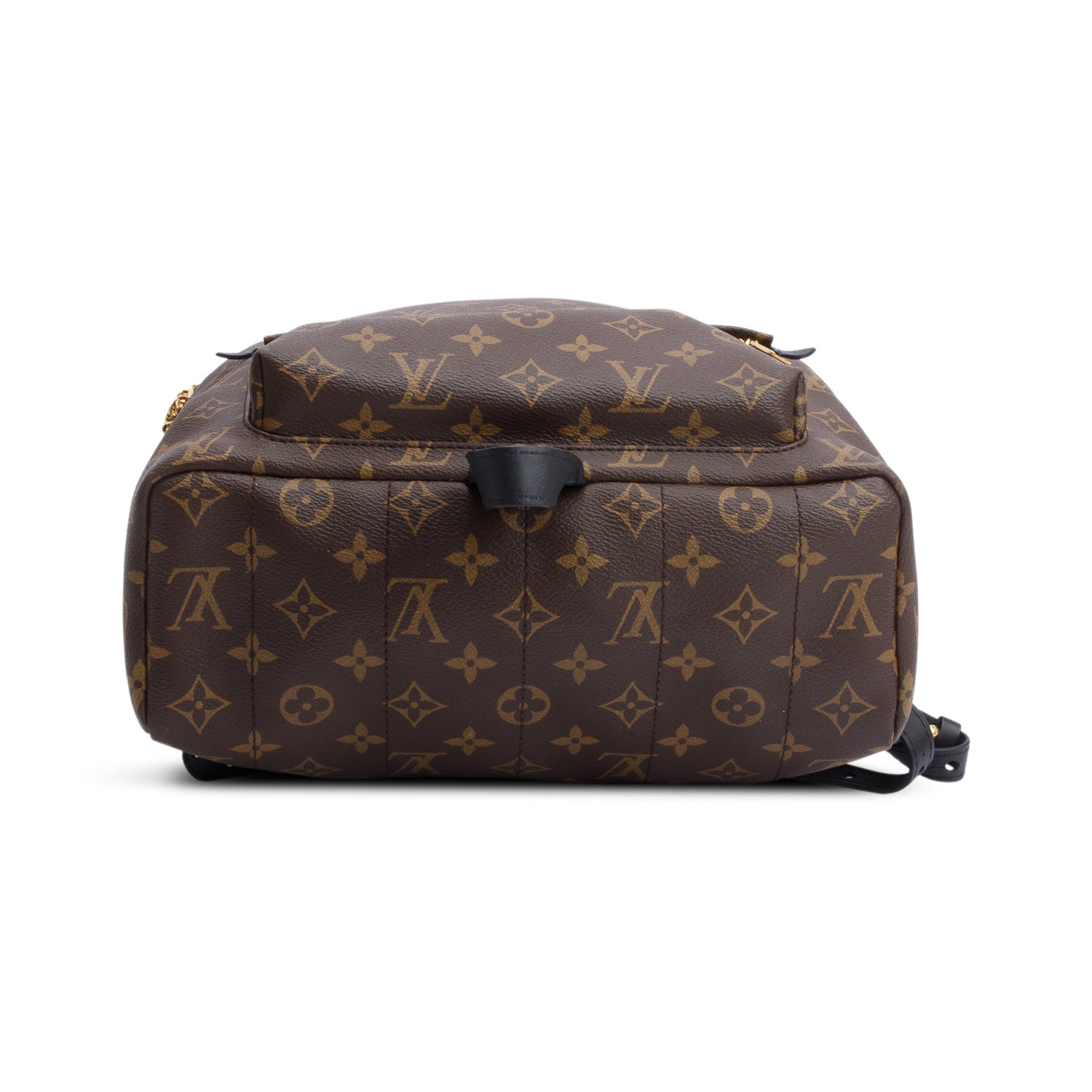 Louis Vuitton Monogram Palm Springs Backpack MM w/ Receipt