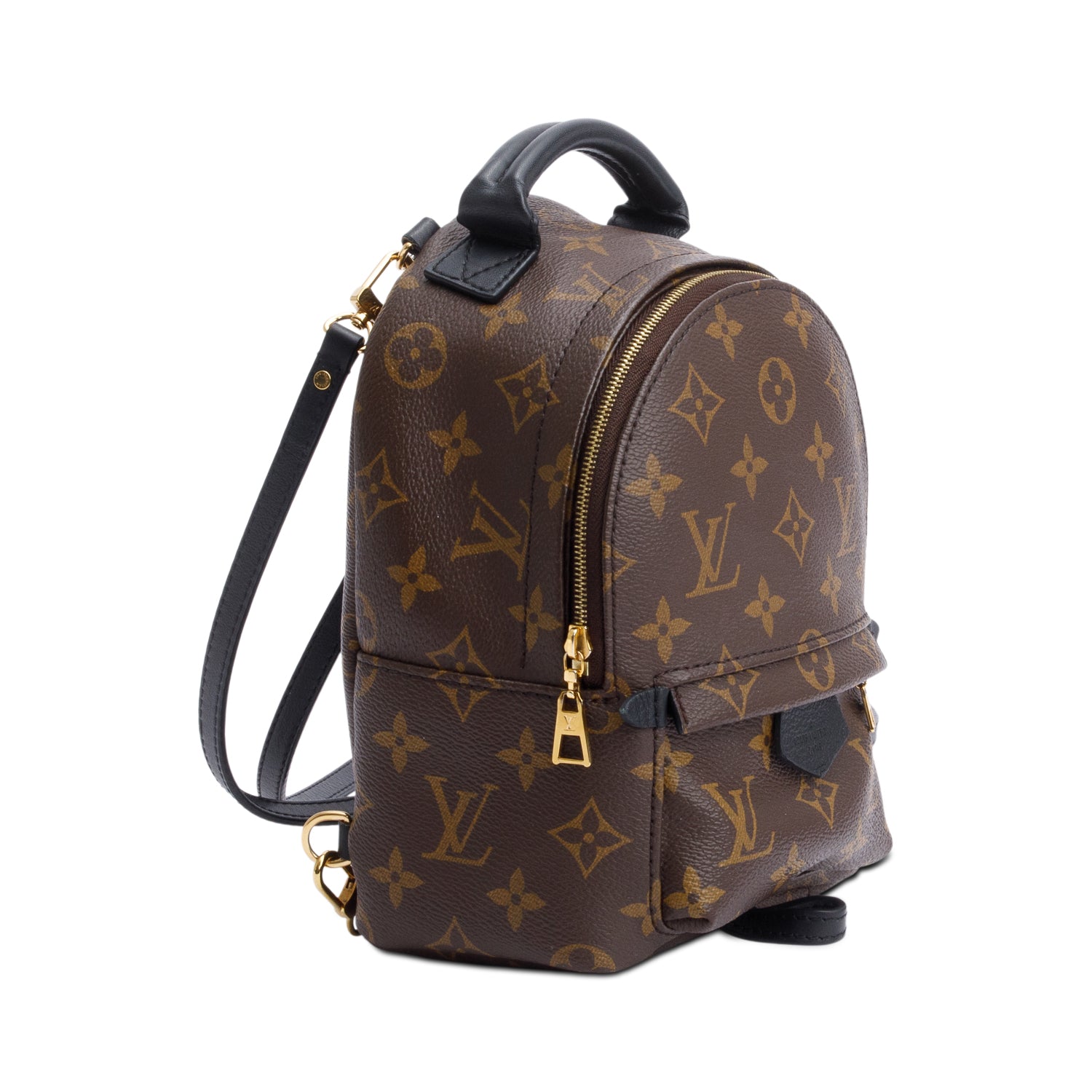 Louis Vuitton Monogram Palm Springs Mini Backpack
