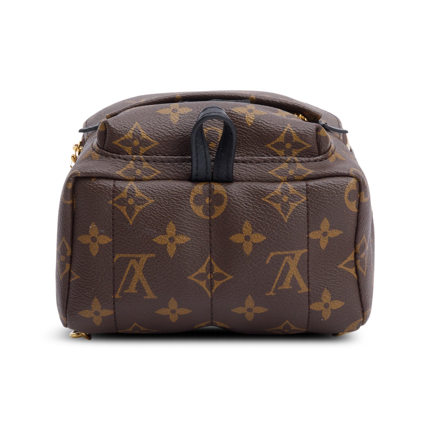 Louis Vuitton Monogram Palm Springs Mini Backpack