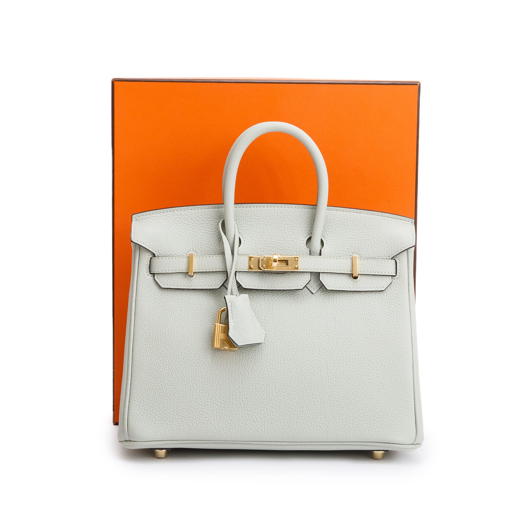 Hermes 2023 Gris Neve Veau Togo Birkin 25 w/ Box