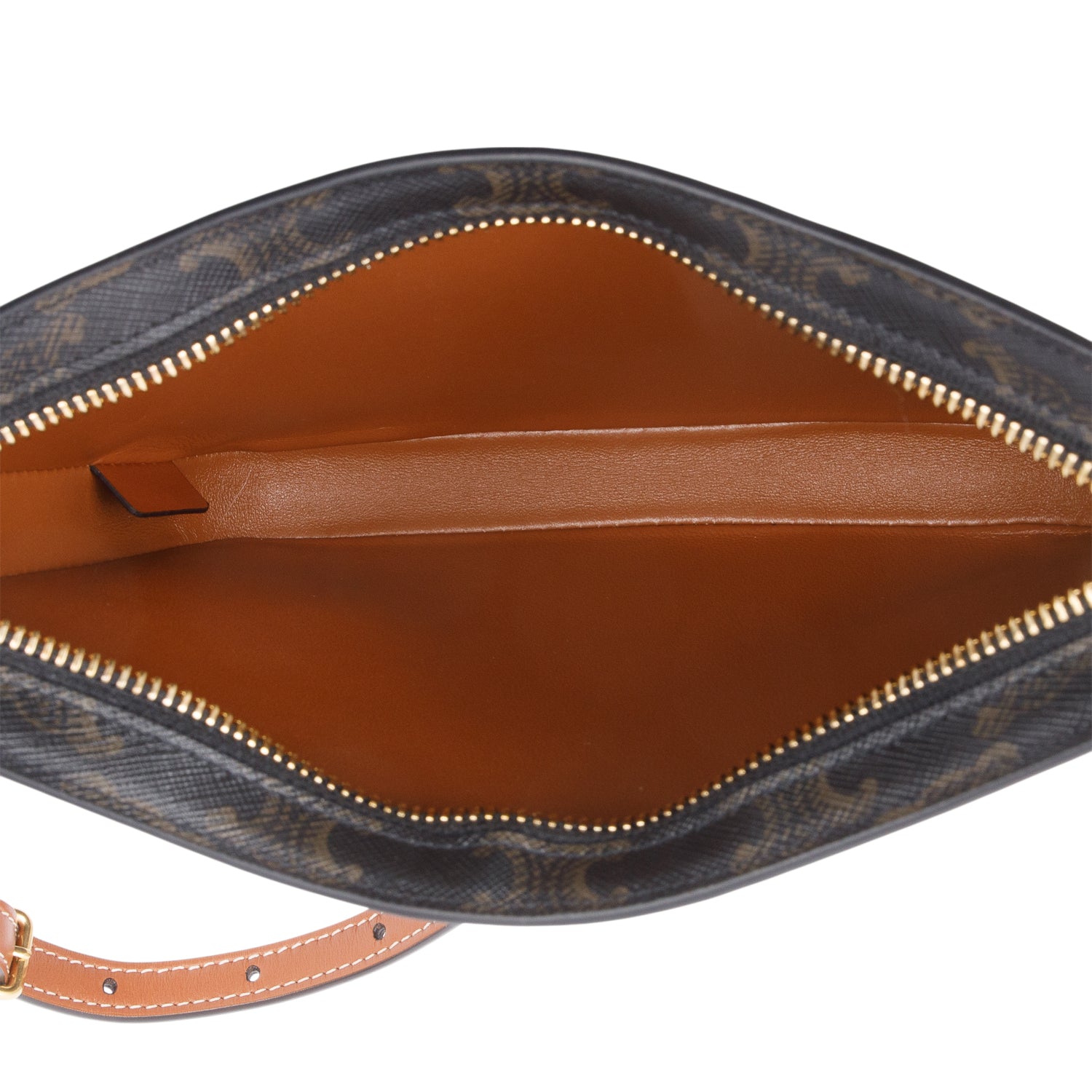 Celine 2023 Triomphe Canvas Medium Croque Hobo Bag