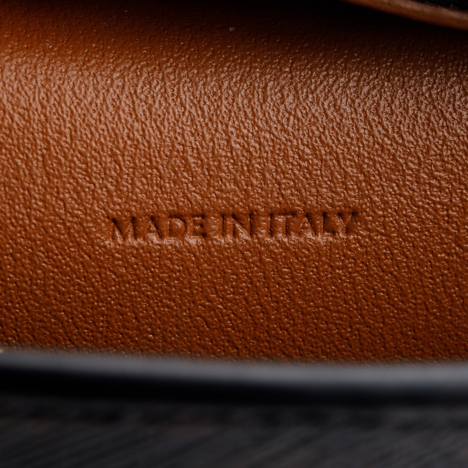 Celine 2023 Triomphe Canvas Medium Croque Hobo Bag