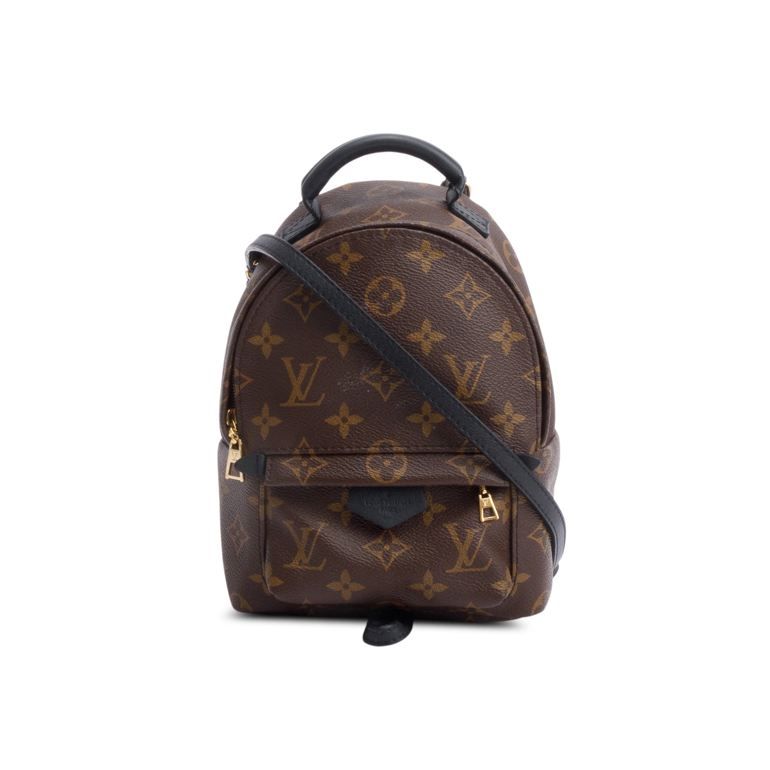 Louis Vuitton Monogram Palm Springs Mini