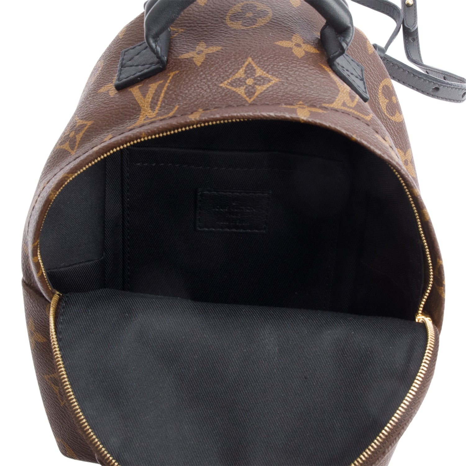 Louis Vuitton Monogram Palm Springs Mini