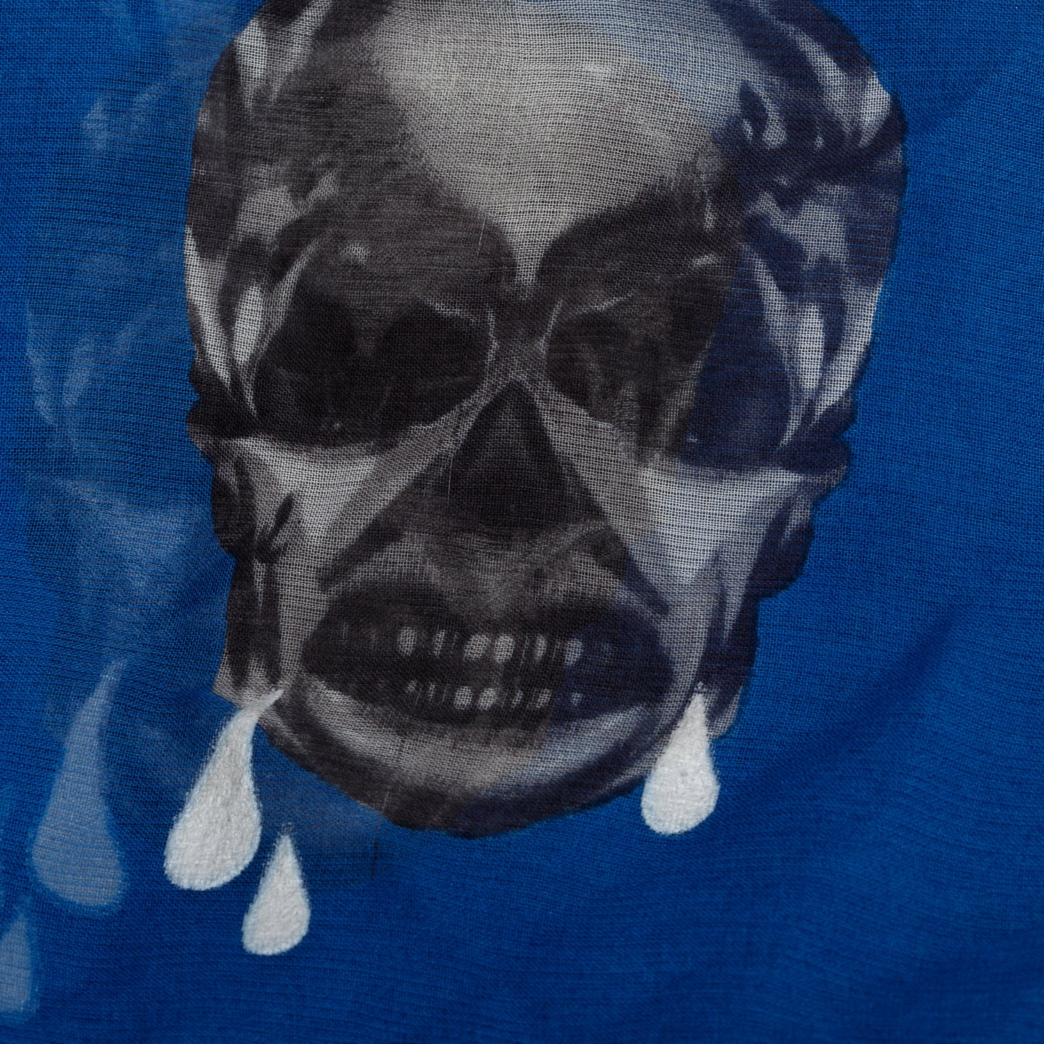 Alexander McQueen Blue/Black Skull Printed Silk Scarf