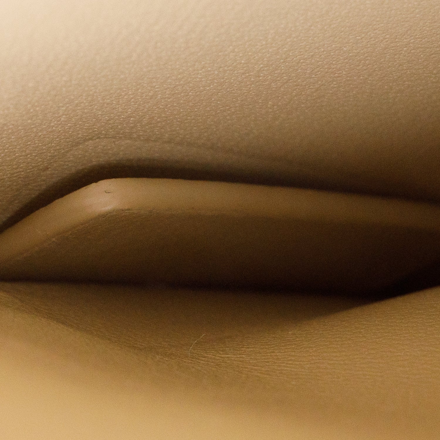 Christian Dior 2020 Beige Leather Medium 30 Montaigne Bag