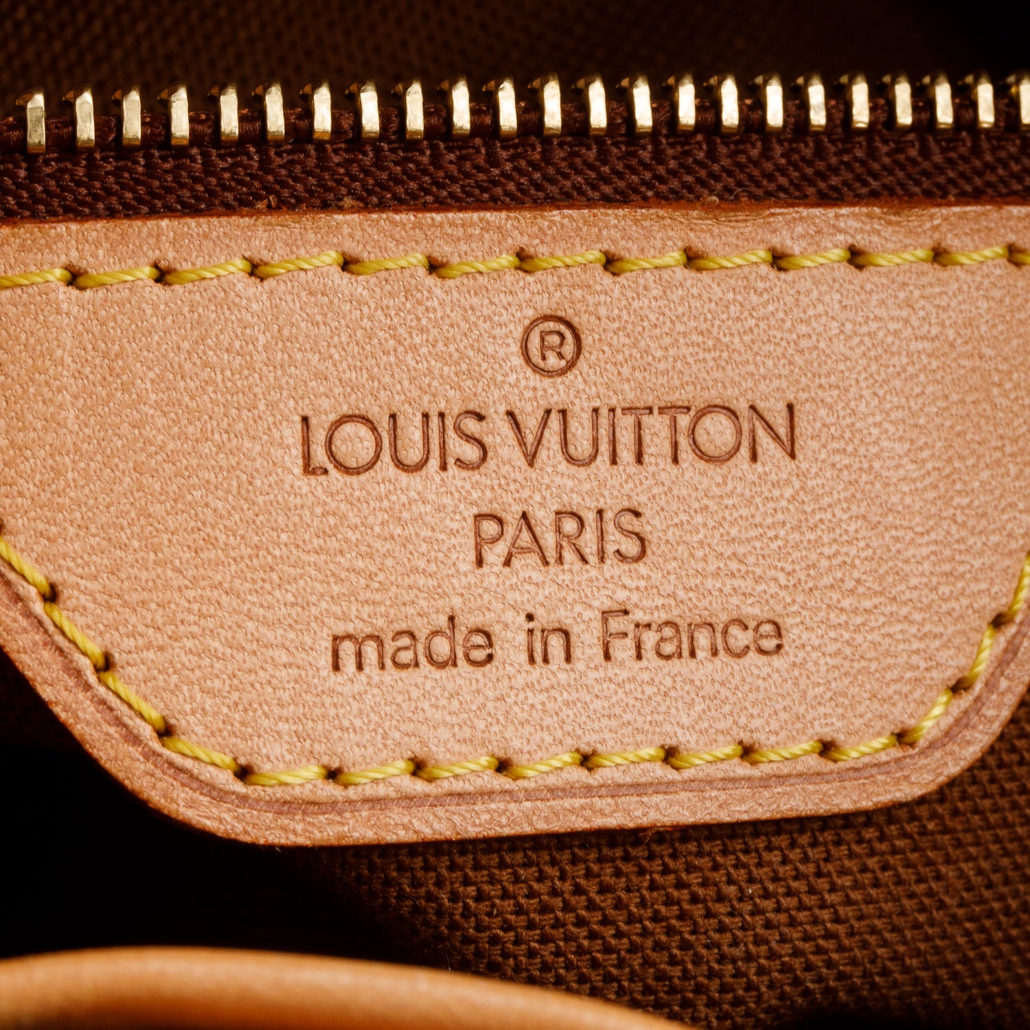Louis Vuitton Monogram Vavin PM Tote