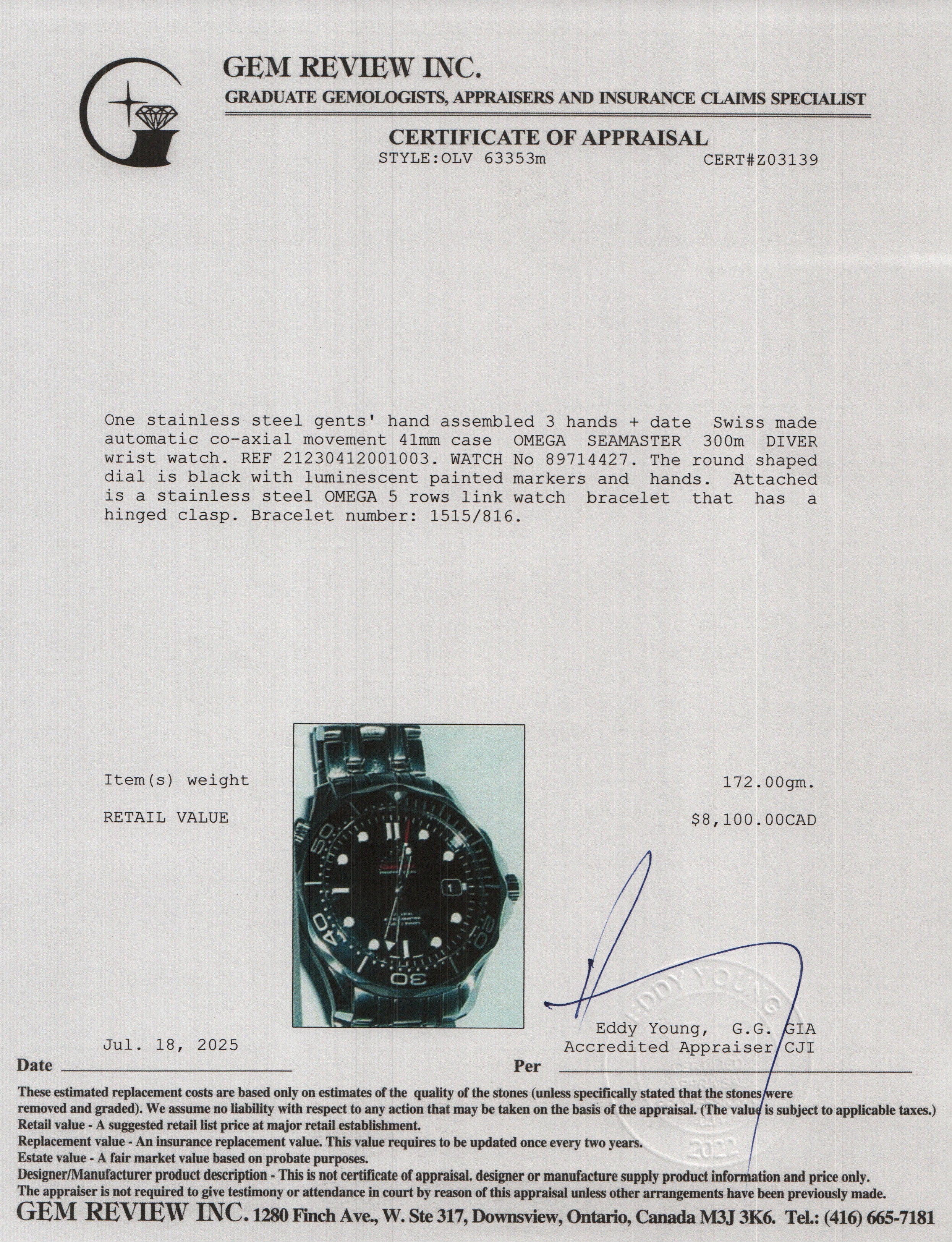 Omega Stainless Steel Seamaster Diver 300M Co-Axial Chronometer 41 MM Watch w/ Box & Papers