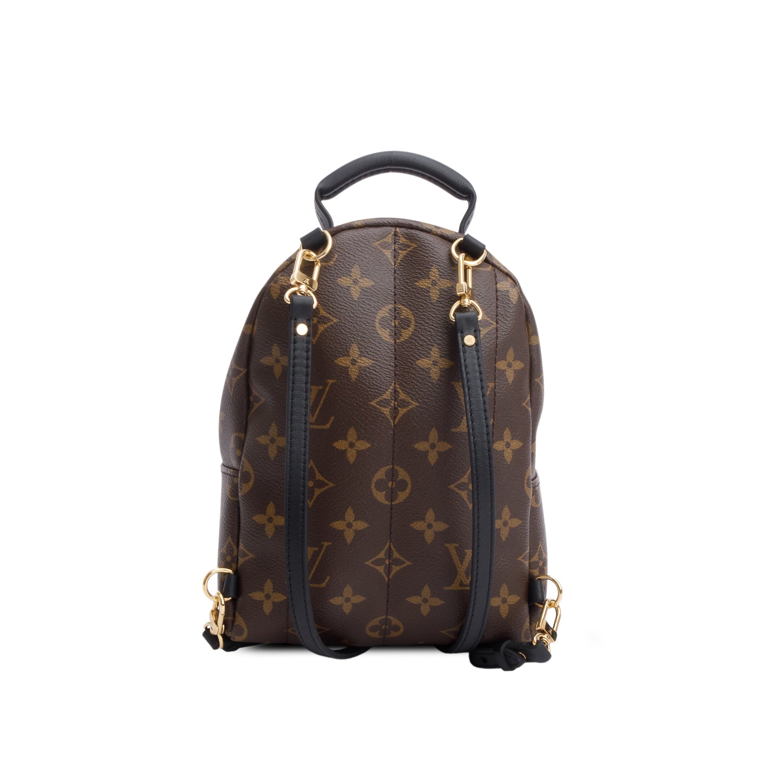 Louis Vuitton Monogram Palm Springs Mini Backpack
