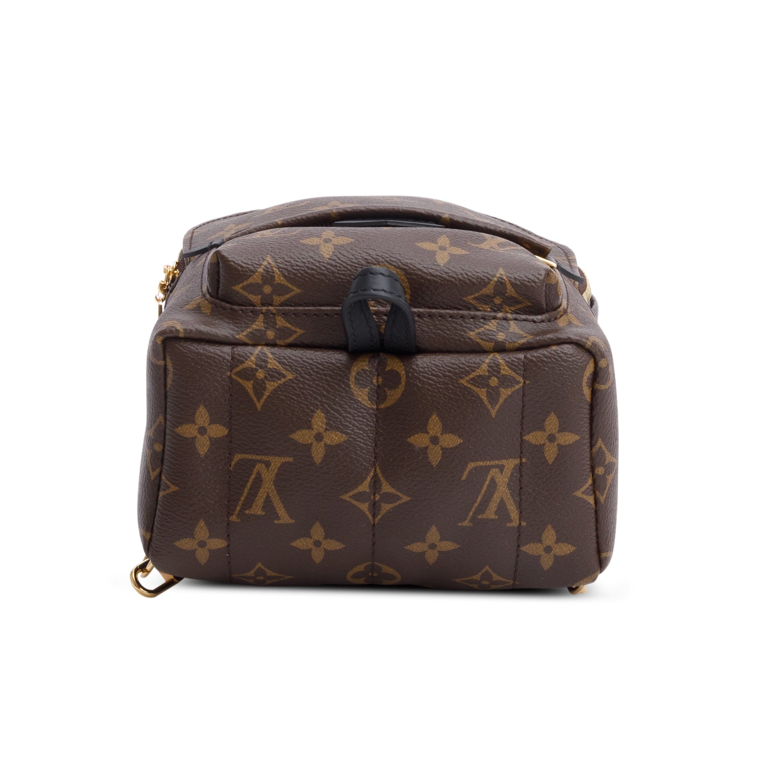 Louis Vuitton Monogram Palm Springs Mini Backpack
