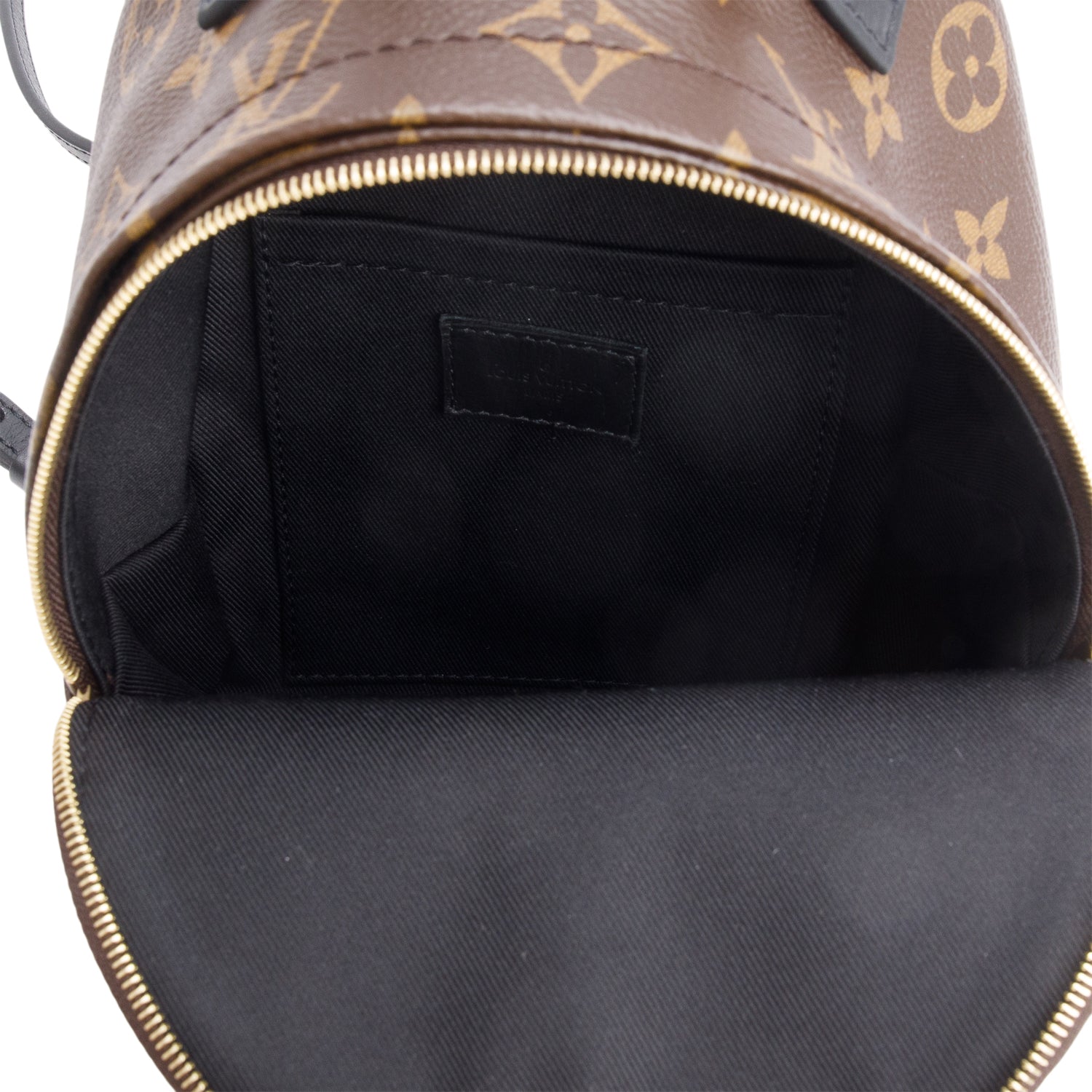 Louis Vuitton Monogram Palm Springs Mini Backpack