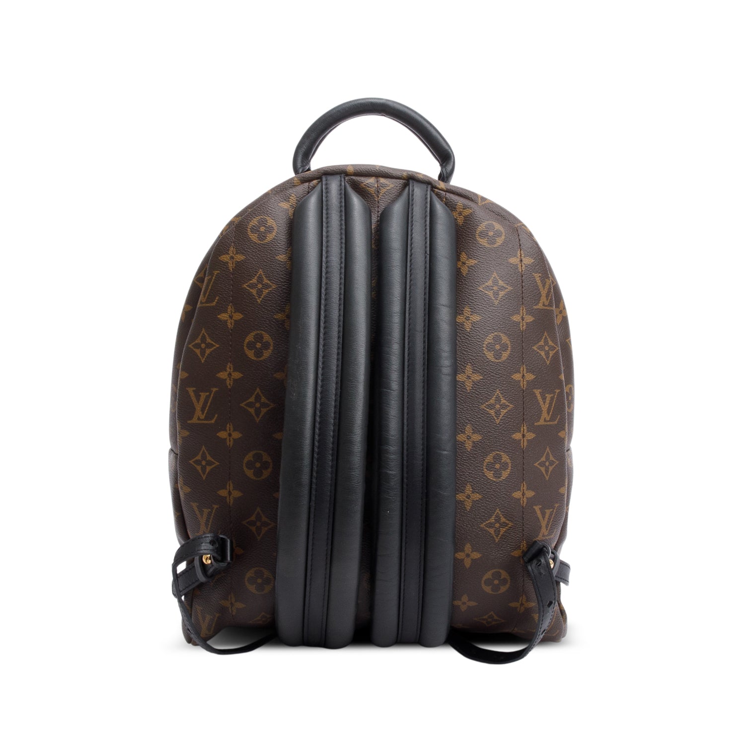 Louis Vuitton Monogram Palm Springs Backpack MM