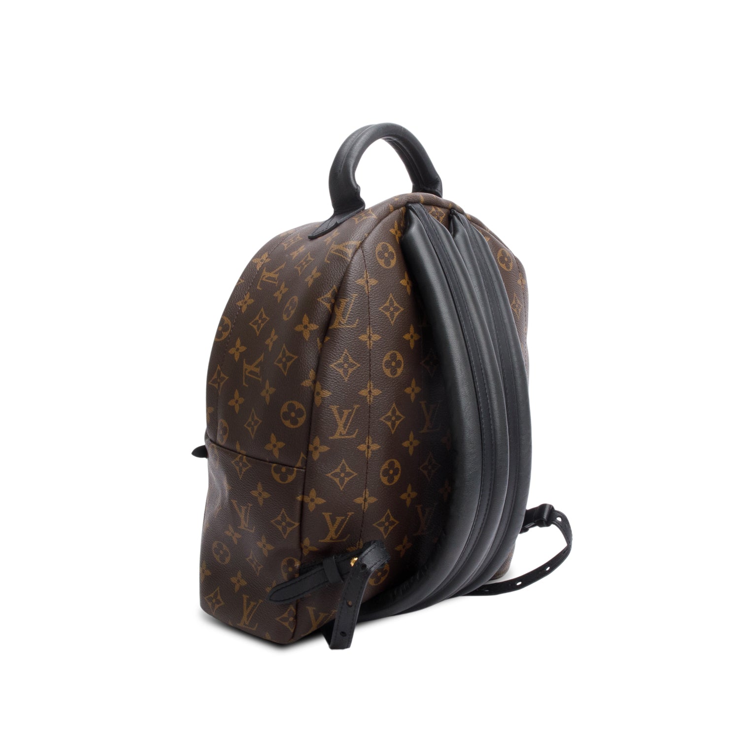 Louis Vuitton Monogram Palm Springs Backpack MM