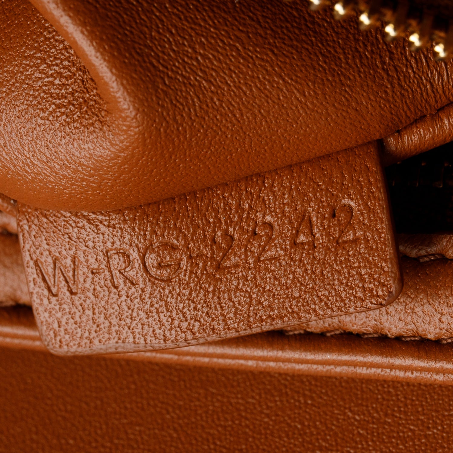 Celine 2022 Brown Triomphe Canvas Teen Triomphe Bag