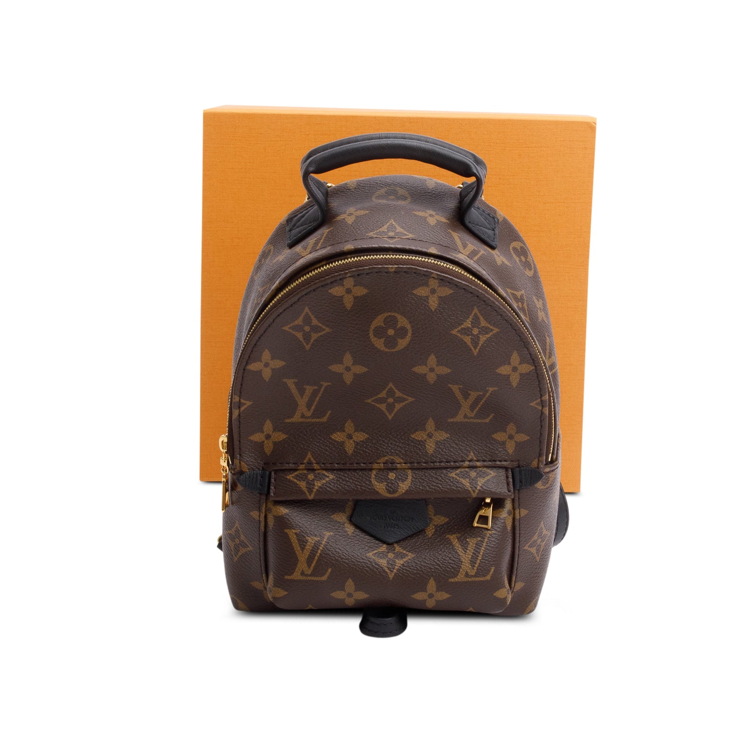 Louis Vuitton 2022 Monogram Palm Springs Mini Backpack w/ Box & Receipt