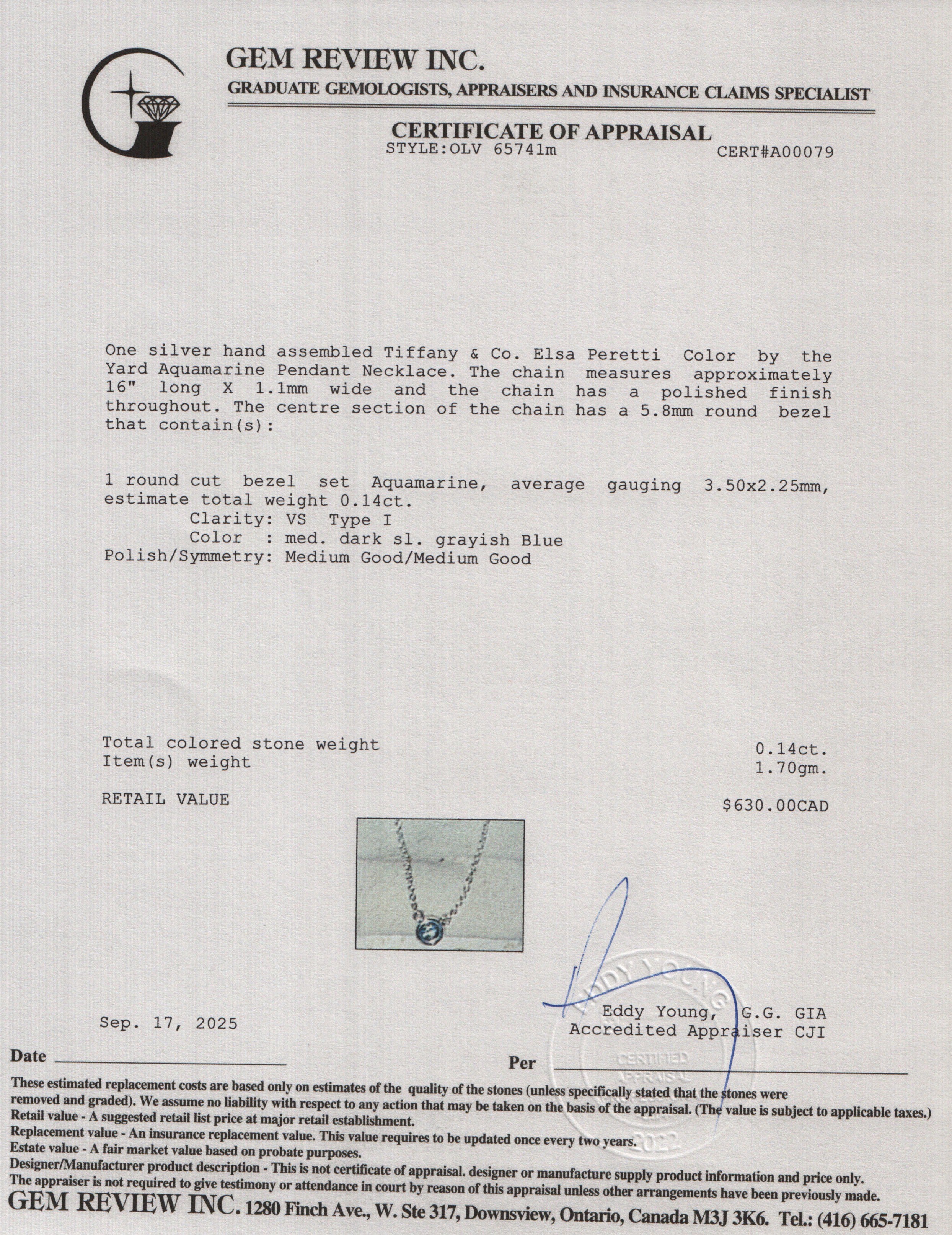 Tiffany & Co. Elsa Peretti Sterling Silver Color by the Yard Aquamarine Pendant Necklace