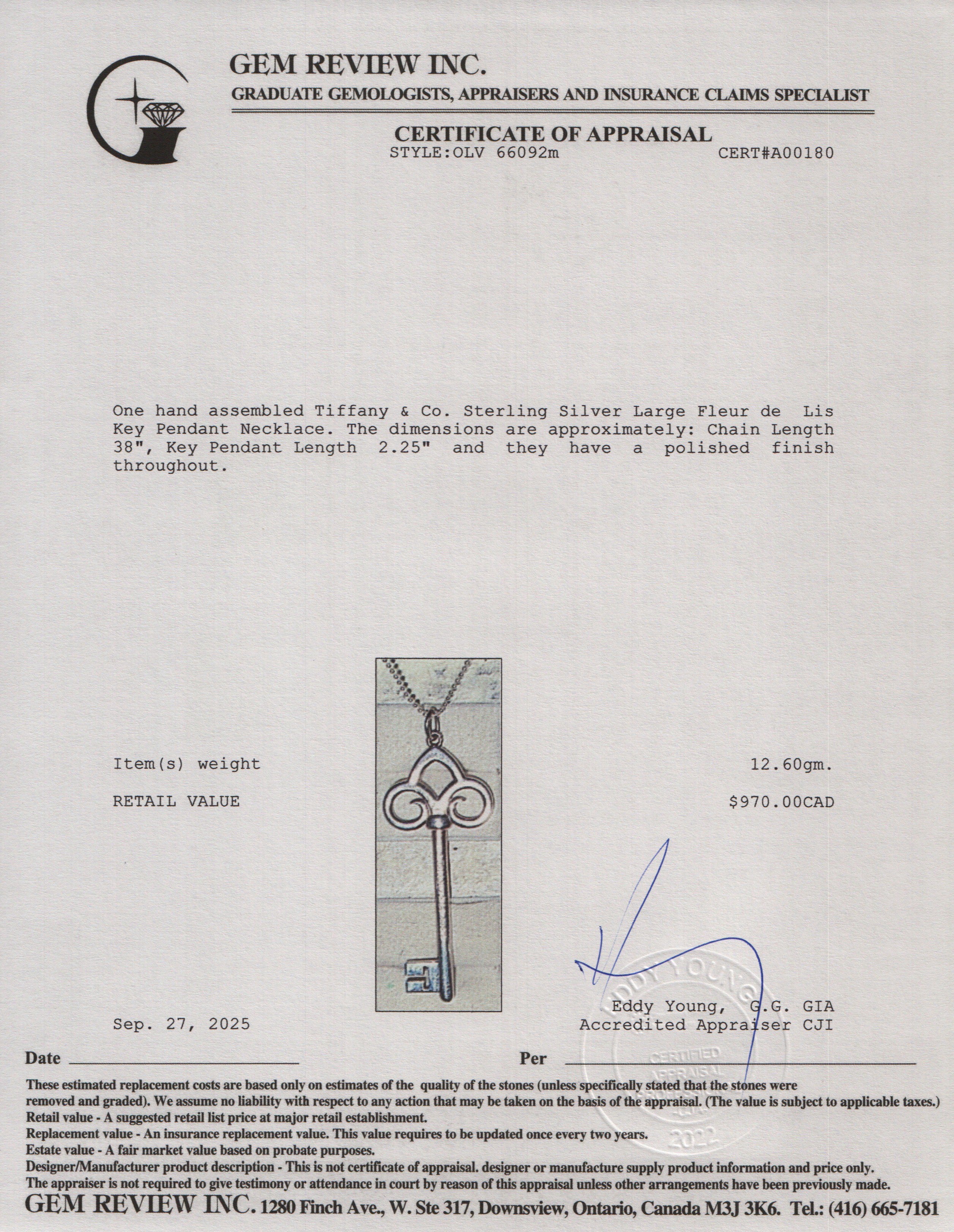 Tiffany & Co. Sterling Silver Large Fleur de Lis Key Pendant Necklace