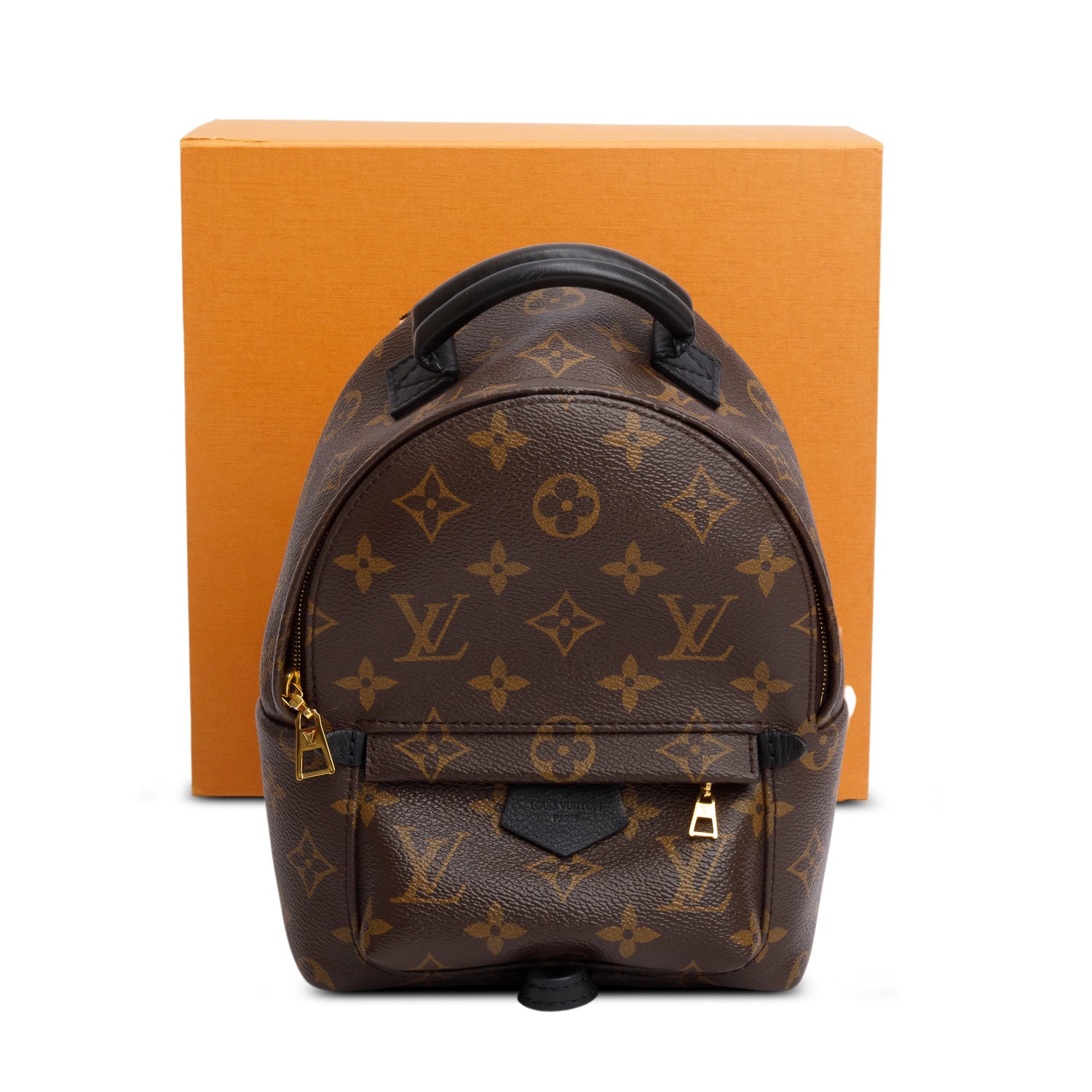 Louis Vuitton Monogram Palm Springs Mini Backpack w/ Box & Receipt