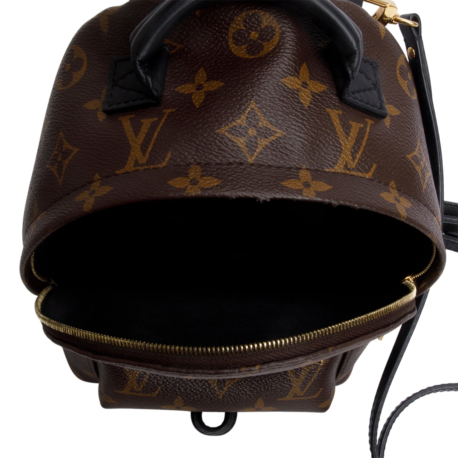 Louis Vuitton Monogram Palm Springs Mini Backpack w/ Box & Receipt