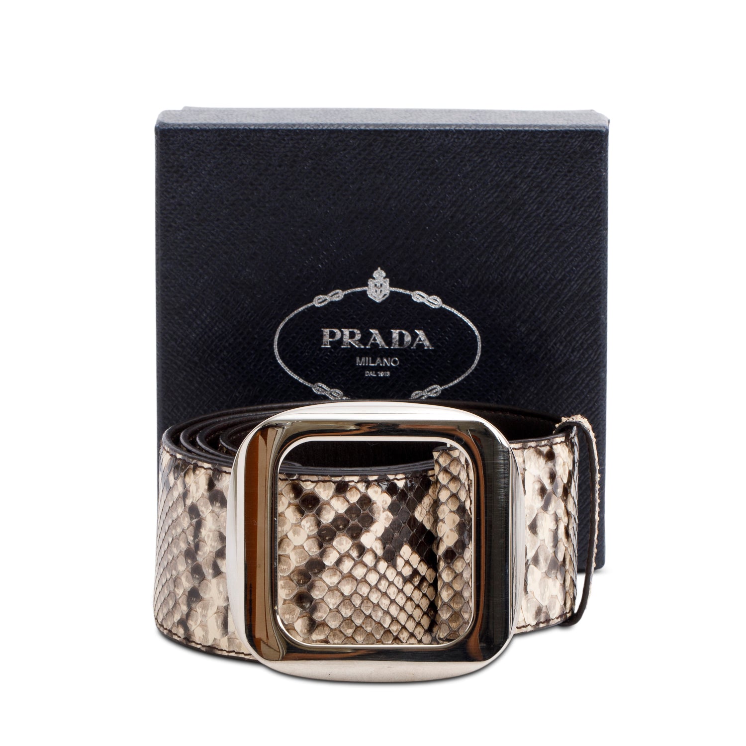 Prada Snakeskin Square Buckle Wide Belt 90 36 w/ Box