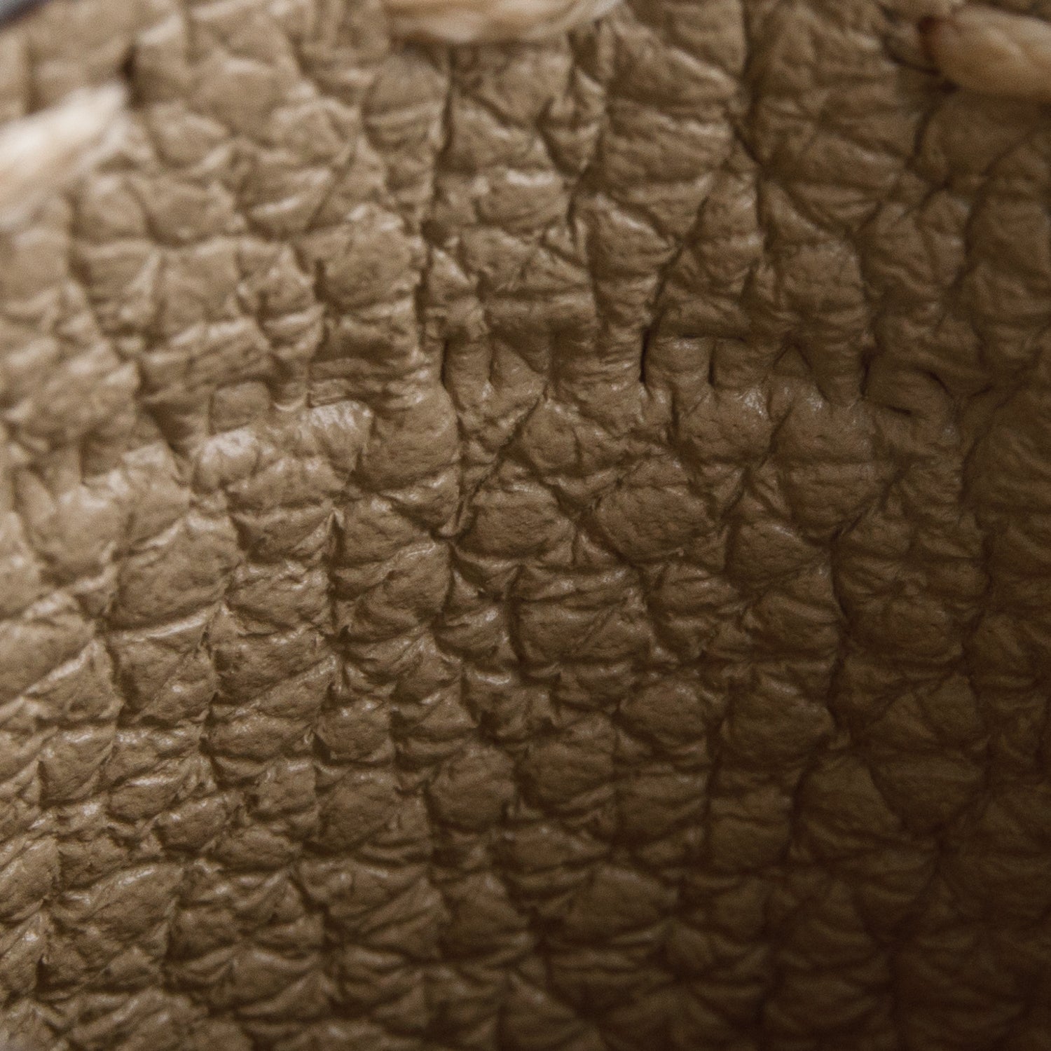 Fendi Beige Selleria Grained Leather Card Holder