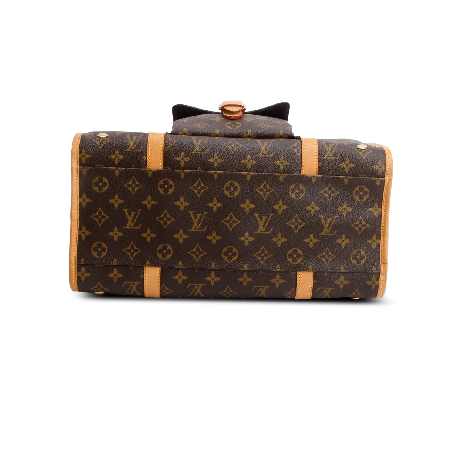 Louis Vuitton Monogram Baxter GM Dog Pet Carrier