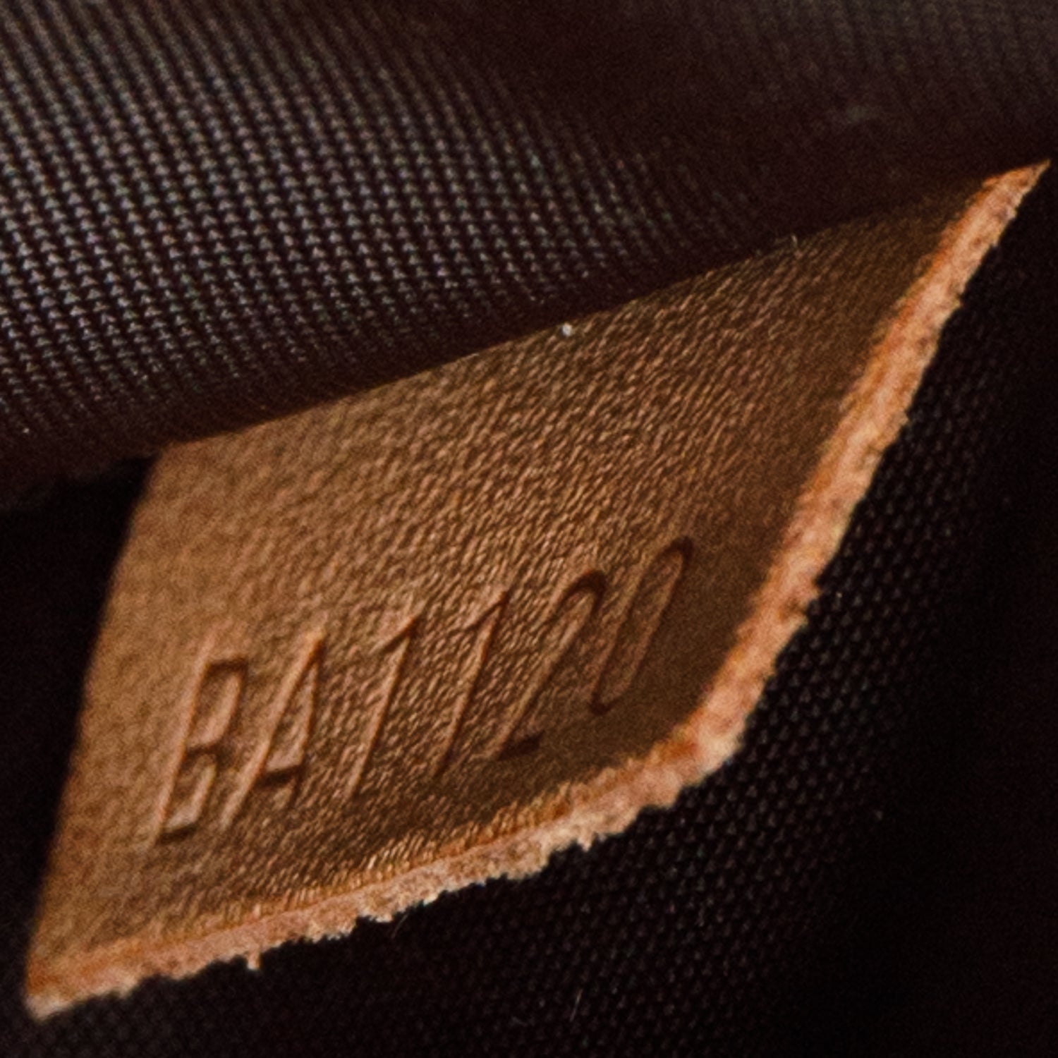 Louis Vuitton Monogram Baxter GM Dog Pet Carrier