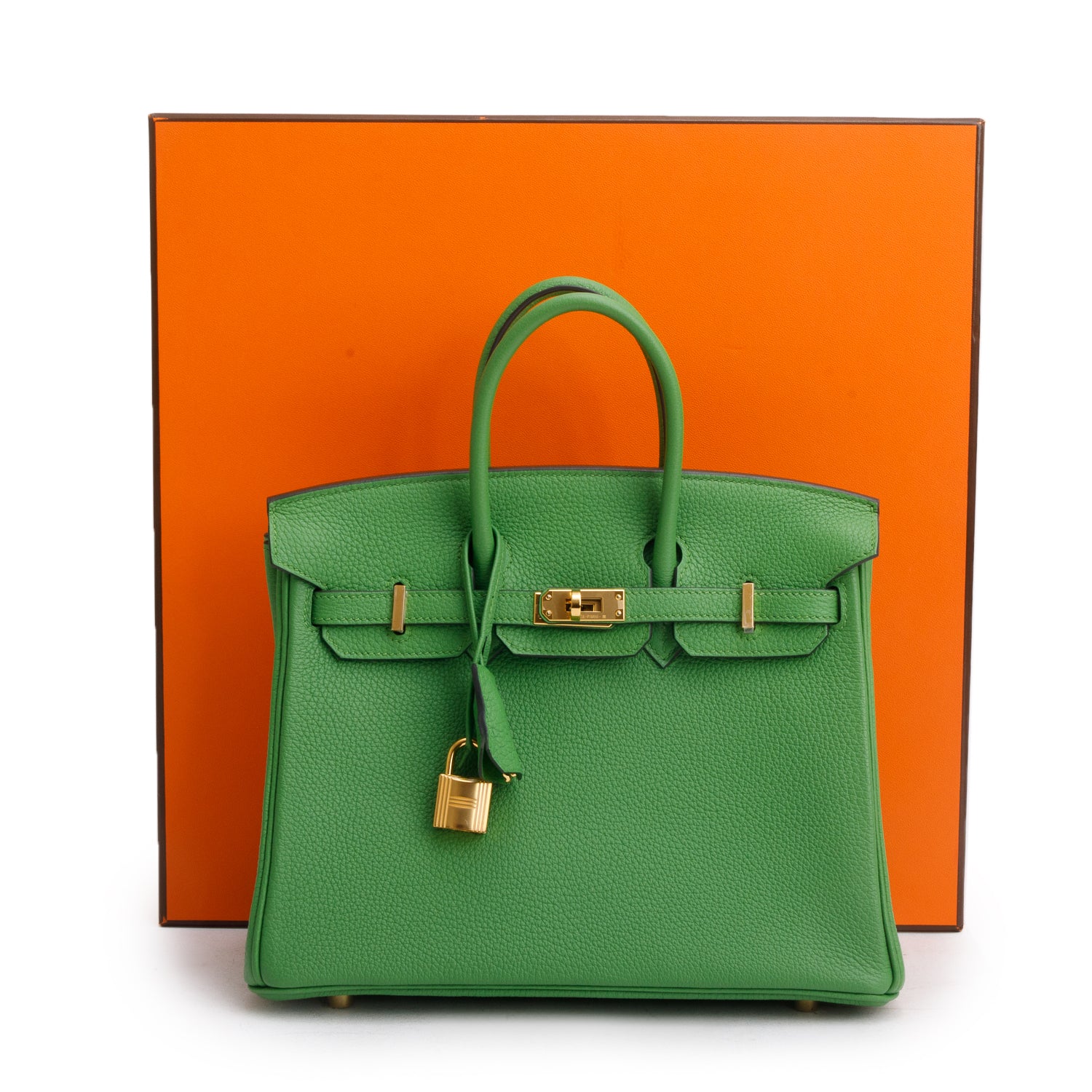 Hermes 2023 Vert Yucca Togo Birkin 25 w/ Box