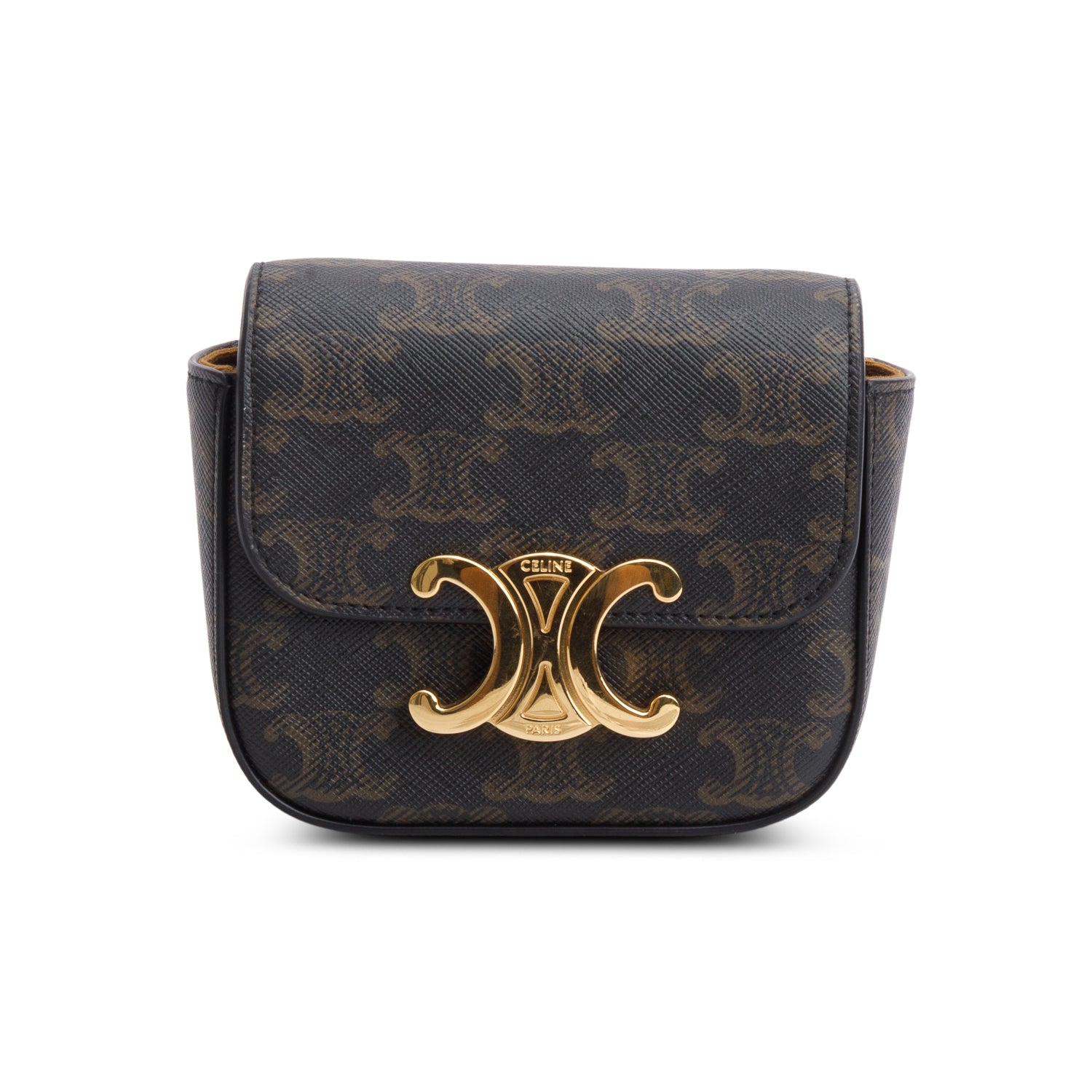 Celine 2022 Triomphe Canvas Calfskin Mini Claude w/ Strap