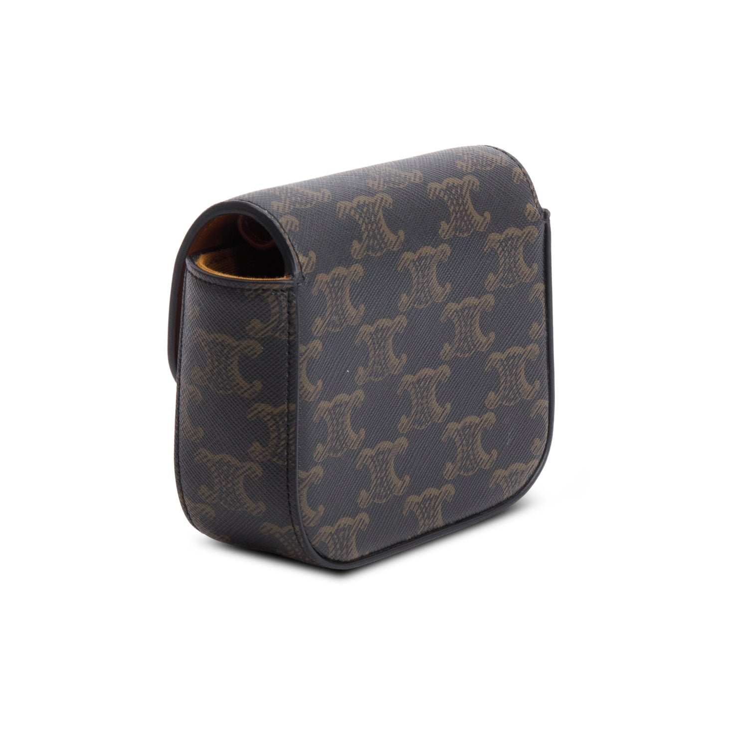 Celine 2022 Triomphe Canvas Calfskin Mini Claude w/ Strap