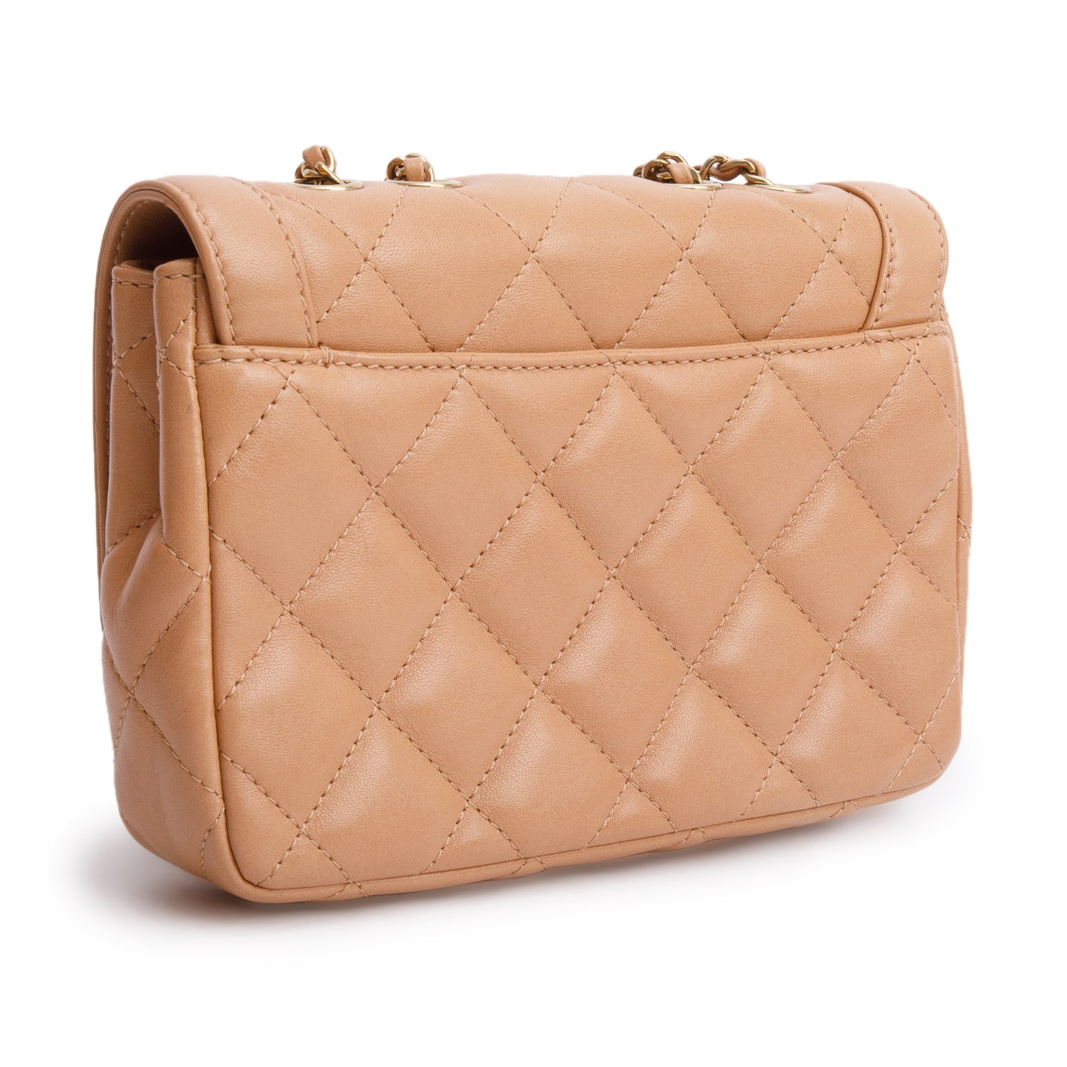 Chanel Brown Lambskin Hold the Line Flap Bag