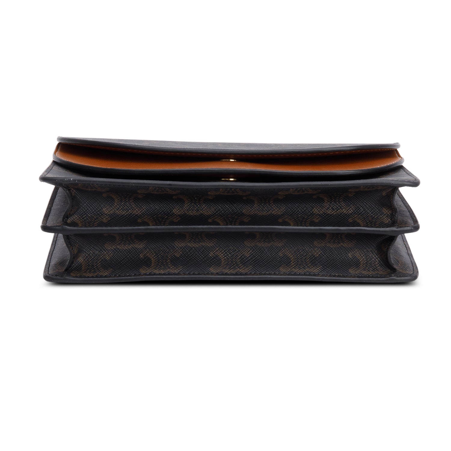 Celine 2022 Triomphe Canvas Lambskin Wallet on Strap