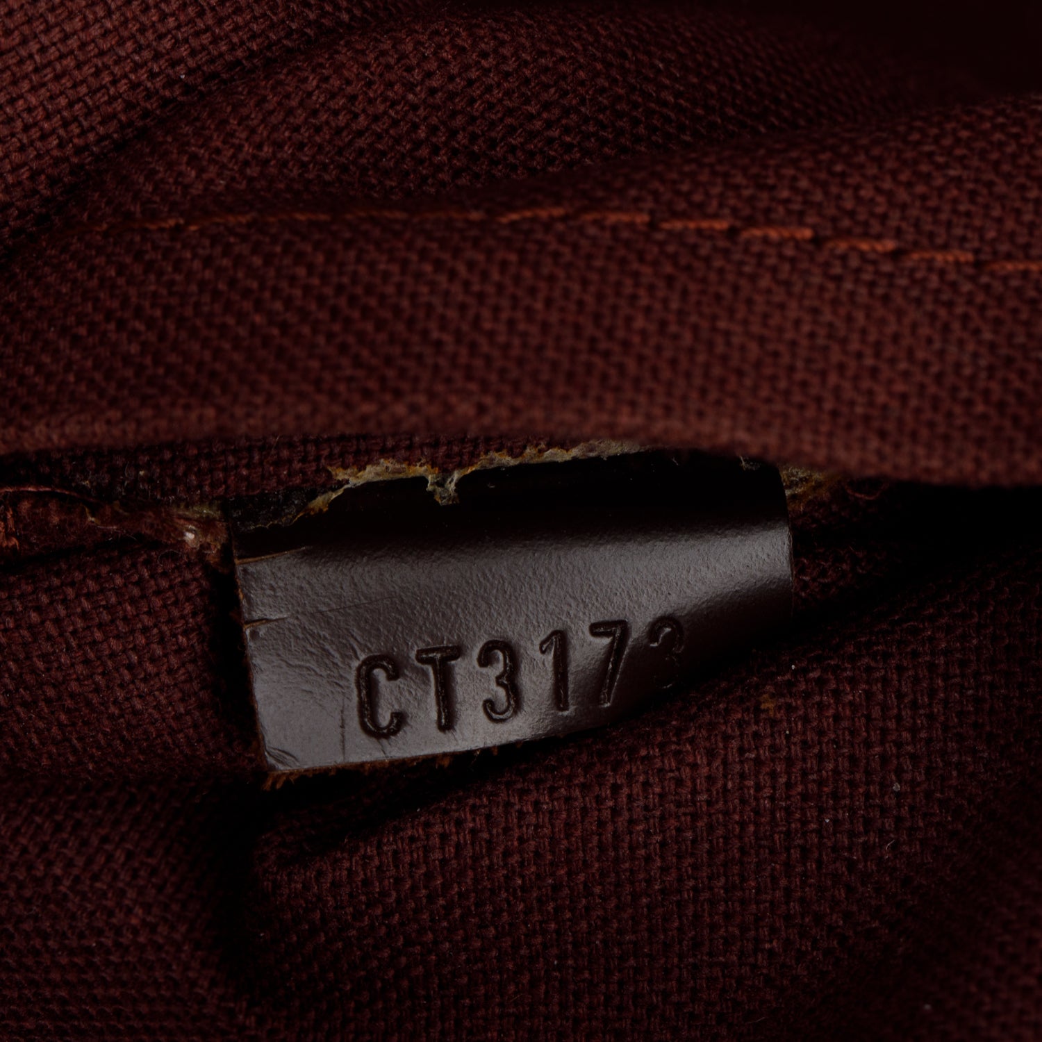 Louis Vuitton Damier Ebene Alma PM w/ Strap