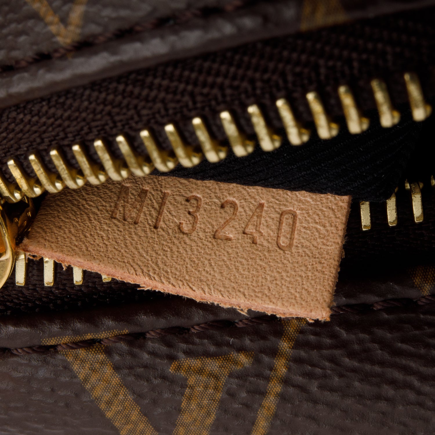 Louis Vuitton 2020 Monogram Bumbag