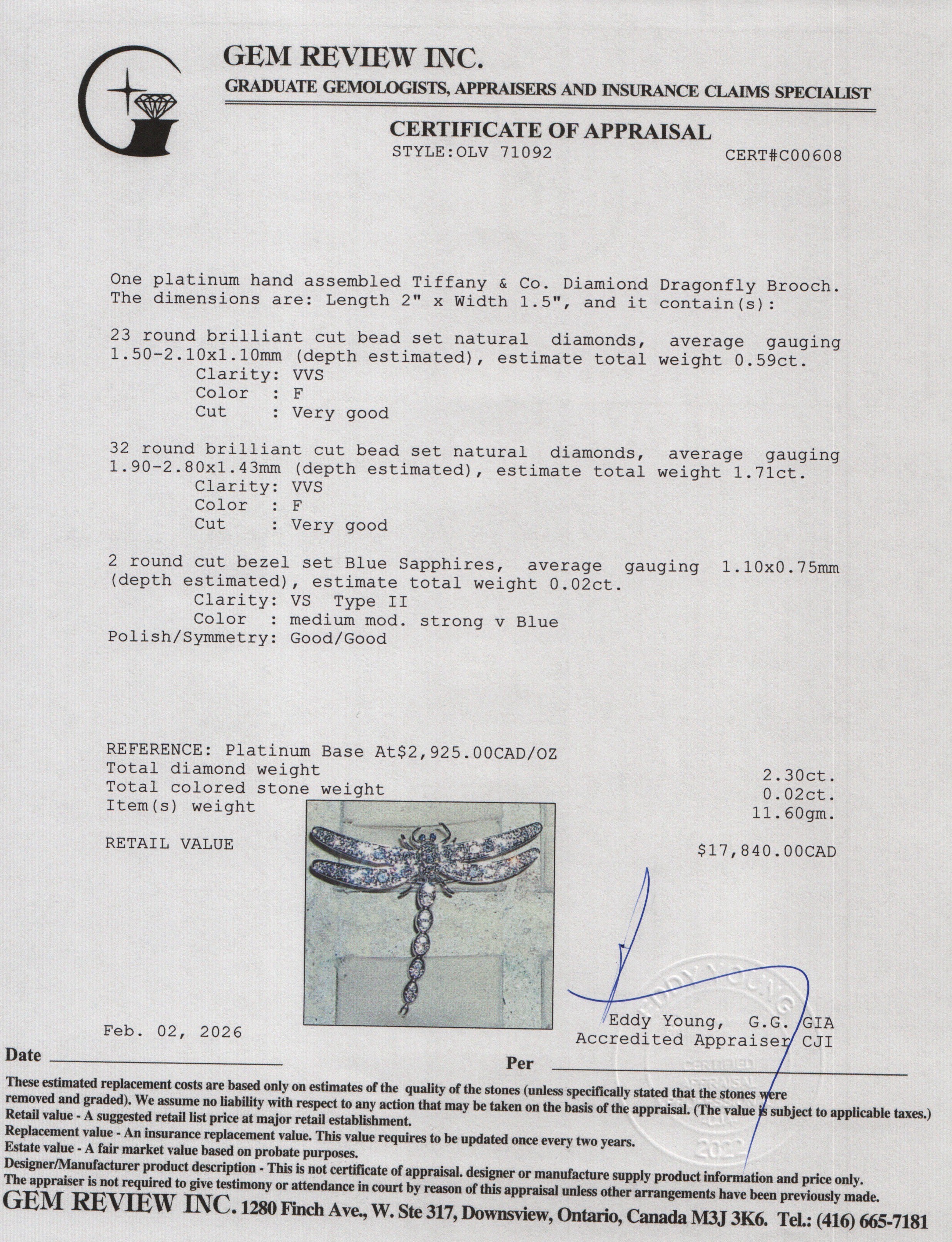 Tiffany & Co. Platinum Diamiond Dragonfly Brooch w/ Box