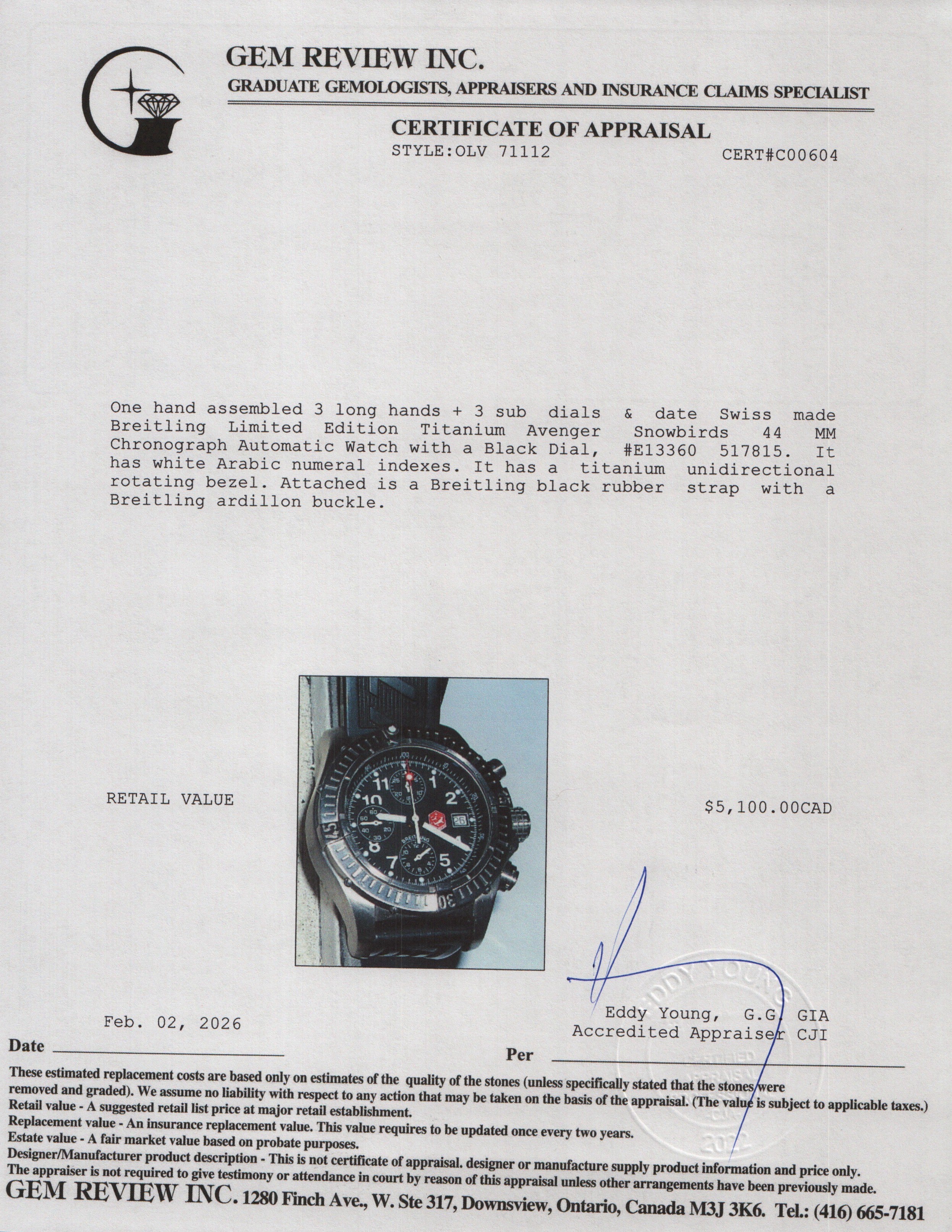 Breitling Limited Edition Titanium Avenger Snowbirds 44 MM Chronograph Automatic Watch Black Dial E13360